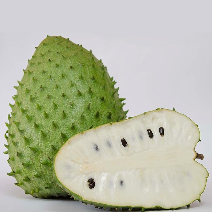 Non-GMO Soursop Seeds for Organic Gardening