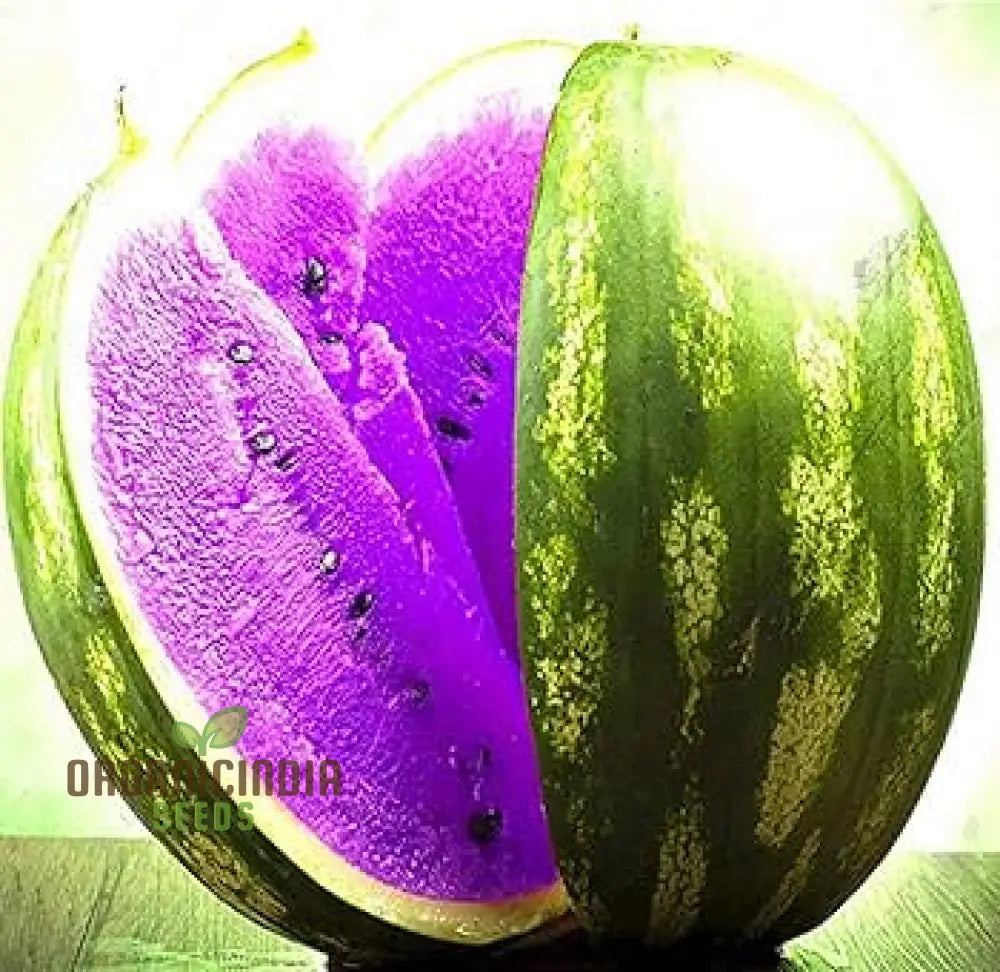 Non-GMO Giant Watermelon Seeds for Organic Gardeners