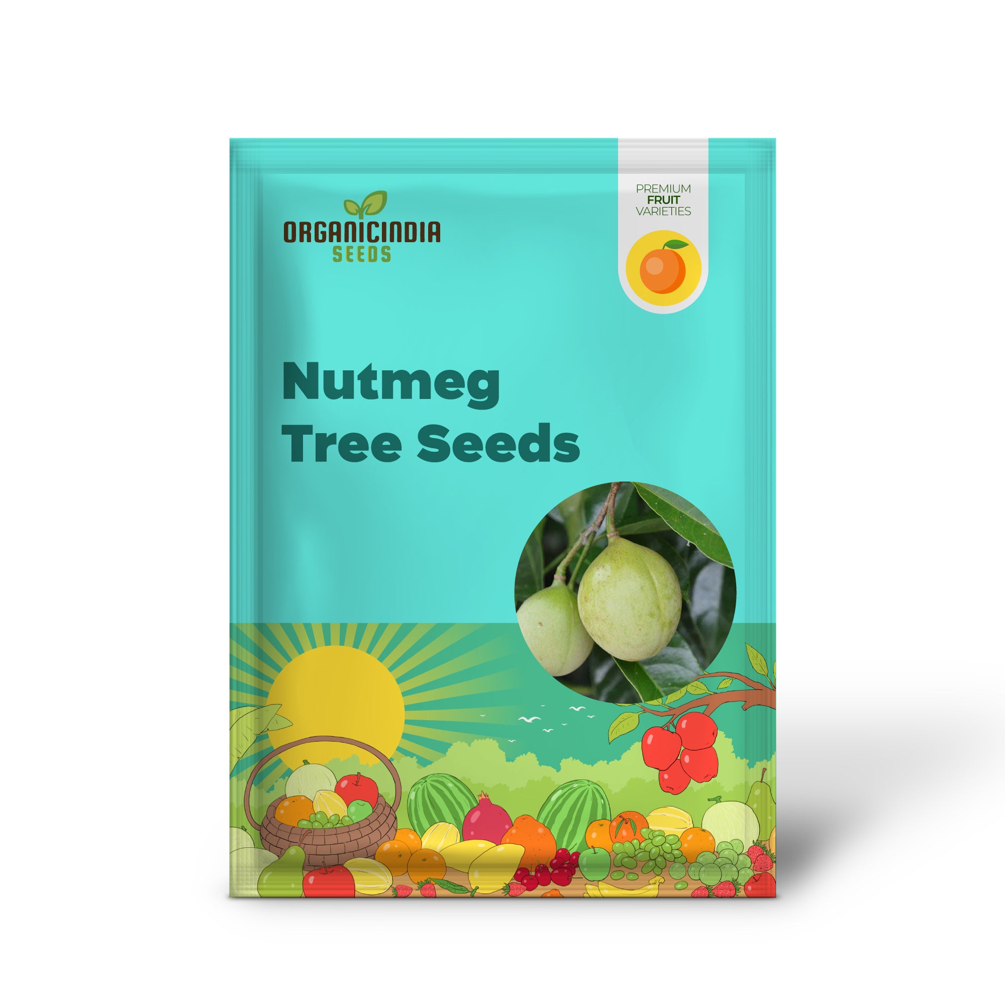 Germinating Nutmeg Tree Seeds in Pots