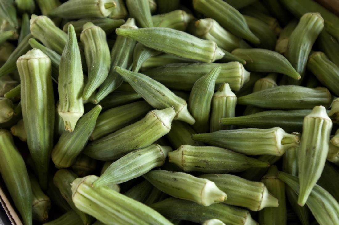 Heirloom Okra Growing in Container from Seeds, Easy Home Gardening