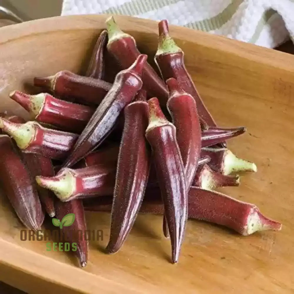Mature Red Burgundy Okra Plant from Seeds, Bushy High-Yield Vegetable
