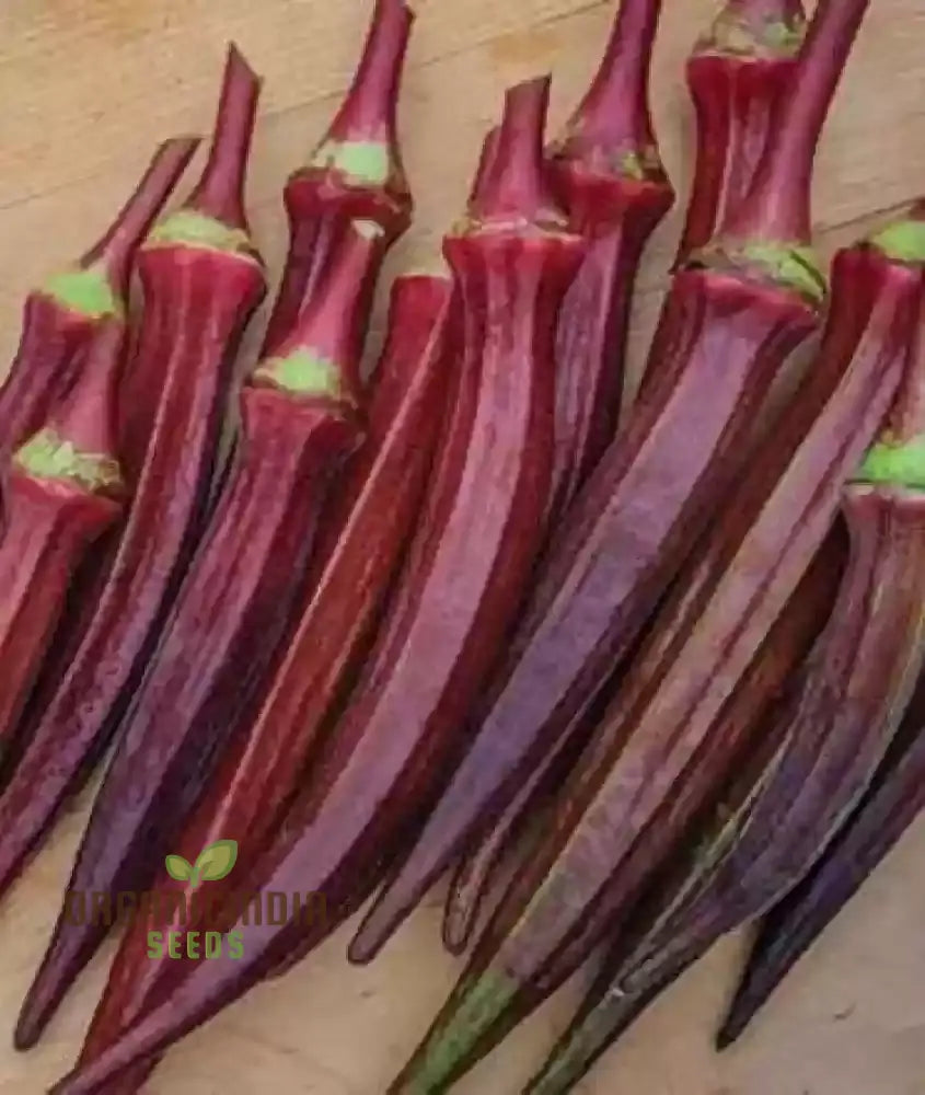 Harvested Red Burgundy Okra Pods from Seeds, Tender and Flavorful
