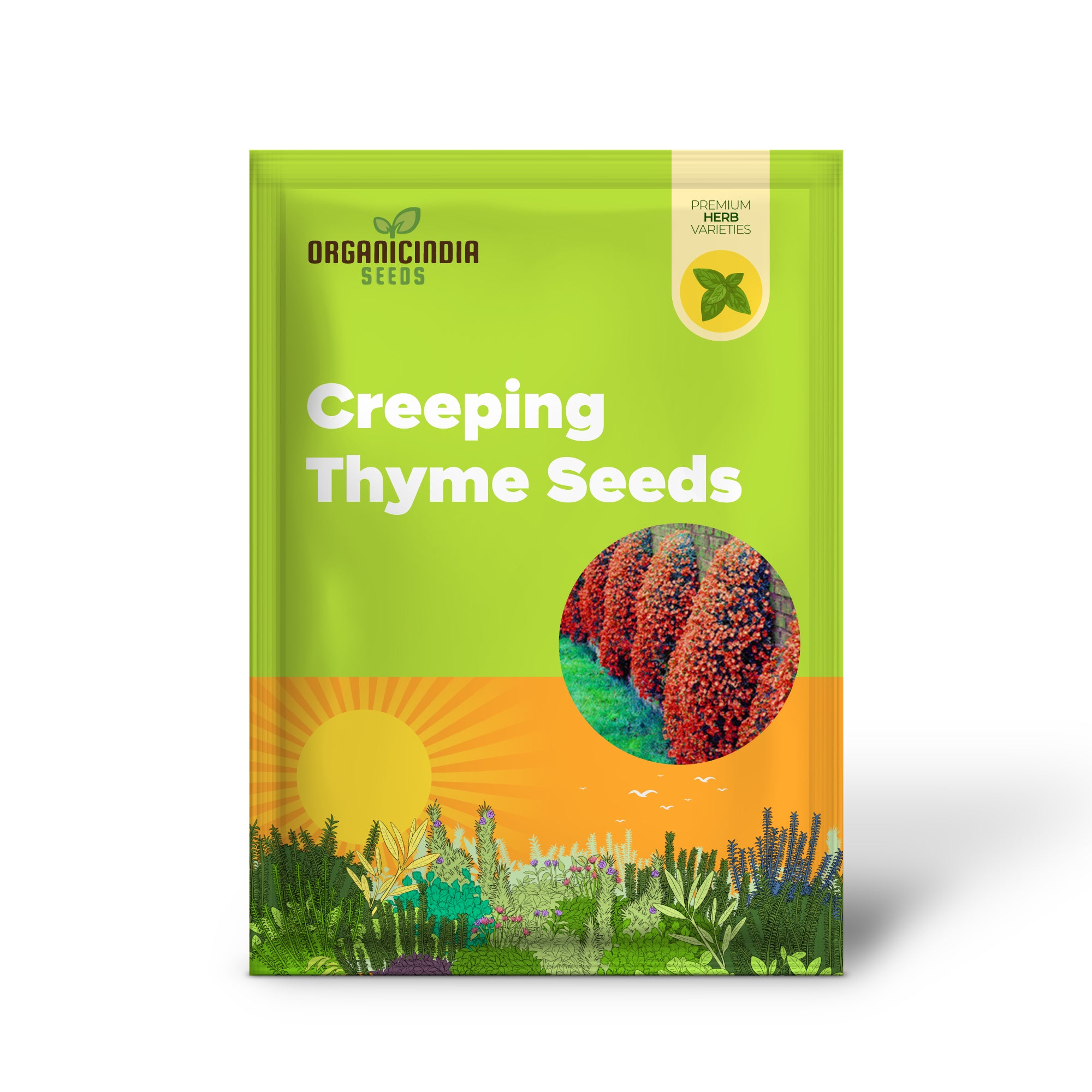 Creeping Thyme Groundcover with Vibrant Orange Flowers