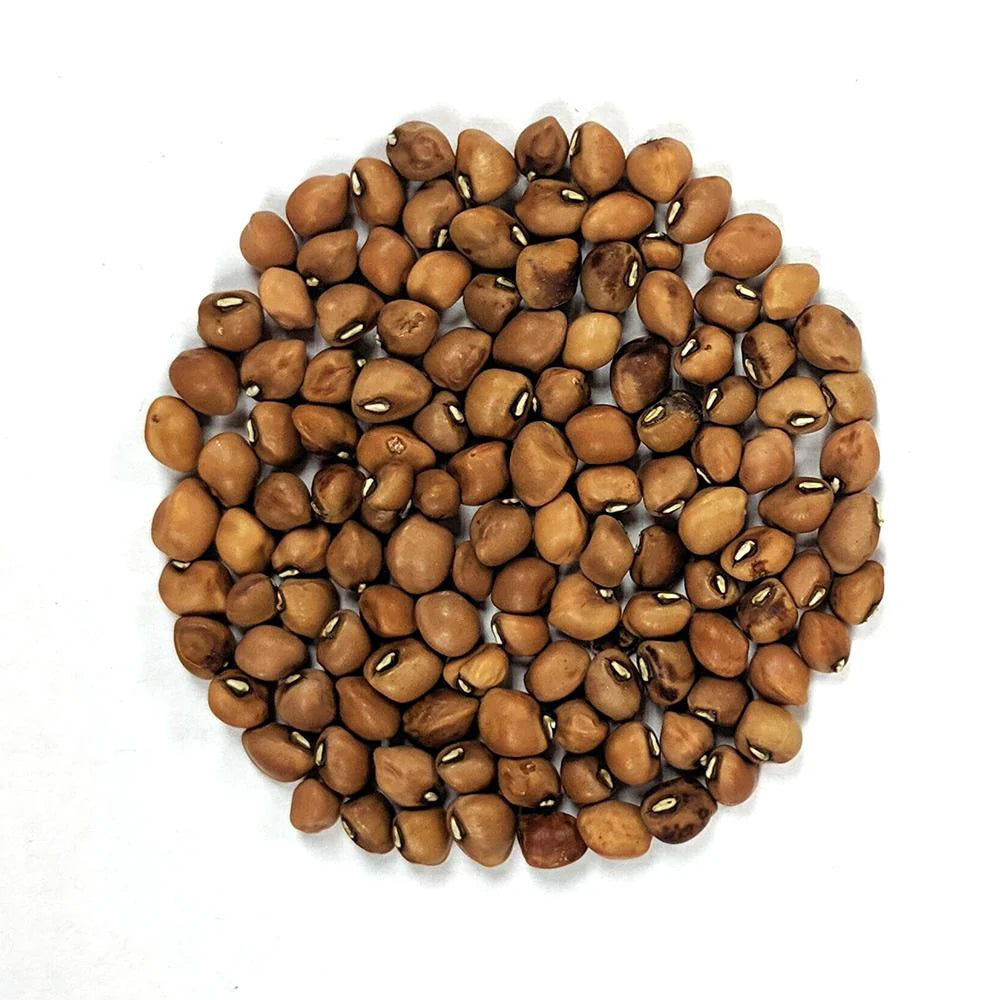 Organic Mississippi Silber Pea Plant Seeds for Home Garden