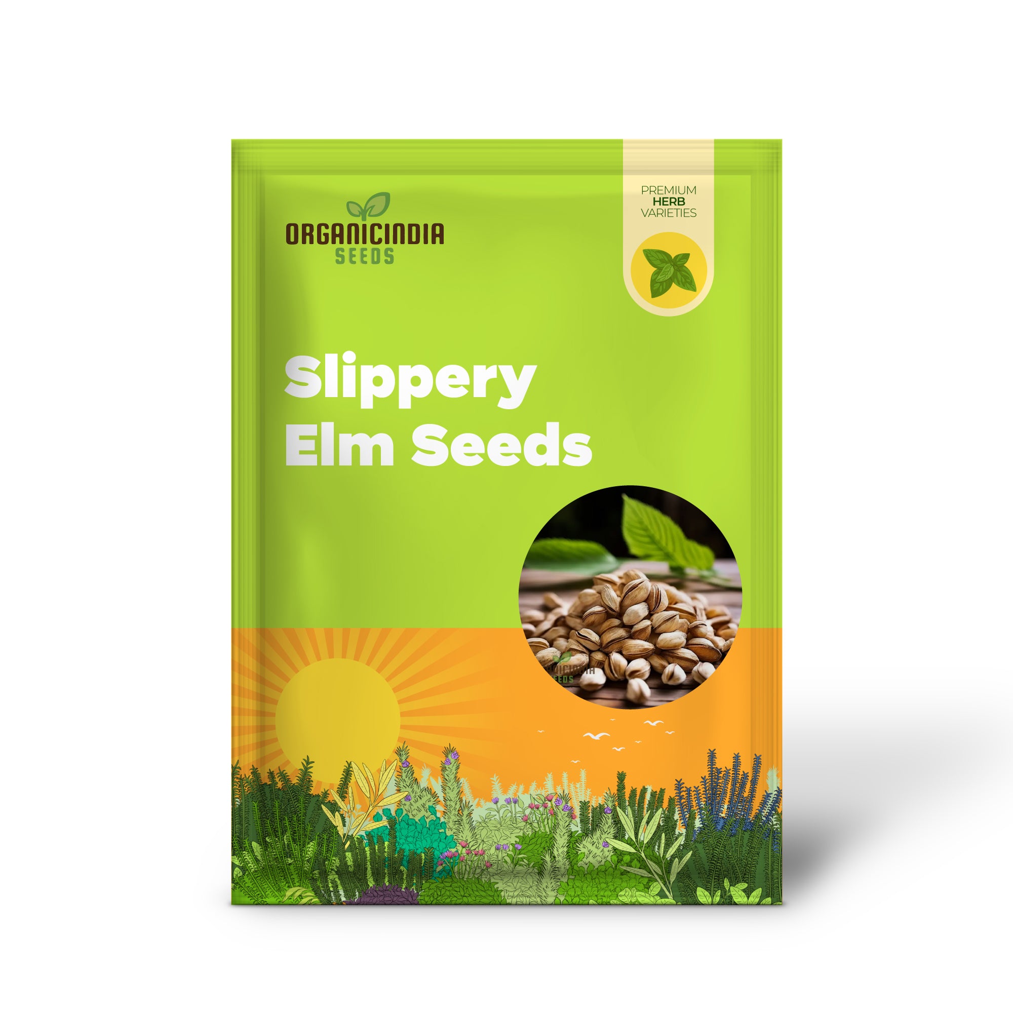 Organic Slippery Elm Tree Seeds for Herbal and Home Gardens