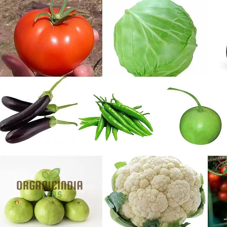 Organic Vegetable Seeds Combo - 10 Varieties For Gardening Enthusiasts