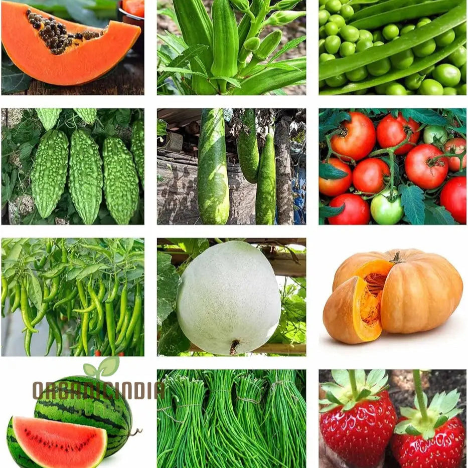 Organic Vegetable Seeds Combo - 10 Varieties For Gardening Enthusiasts