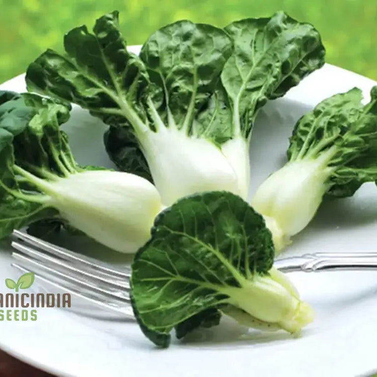 Pak Choi Extra Dwarf Seeds For Planting Your Garden - Organic Gardening