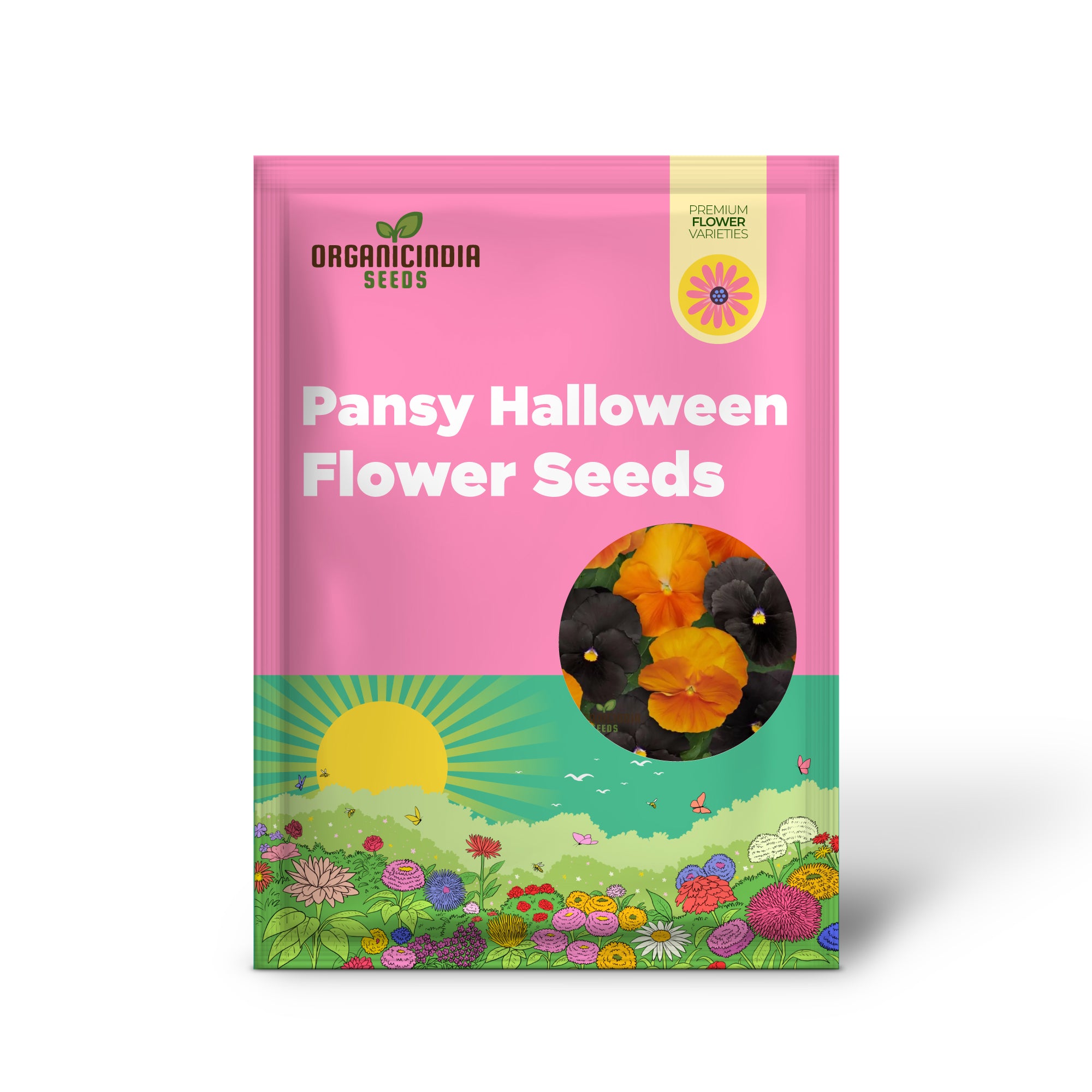 Halloween Black & Frizzle Sizzle Orange Pansy seeds growing into healthy seedlings