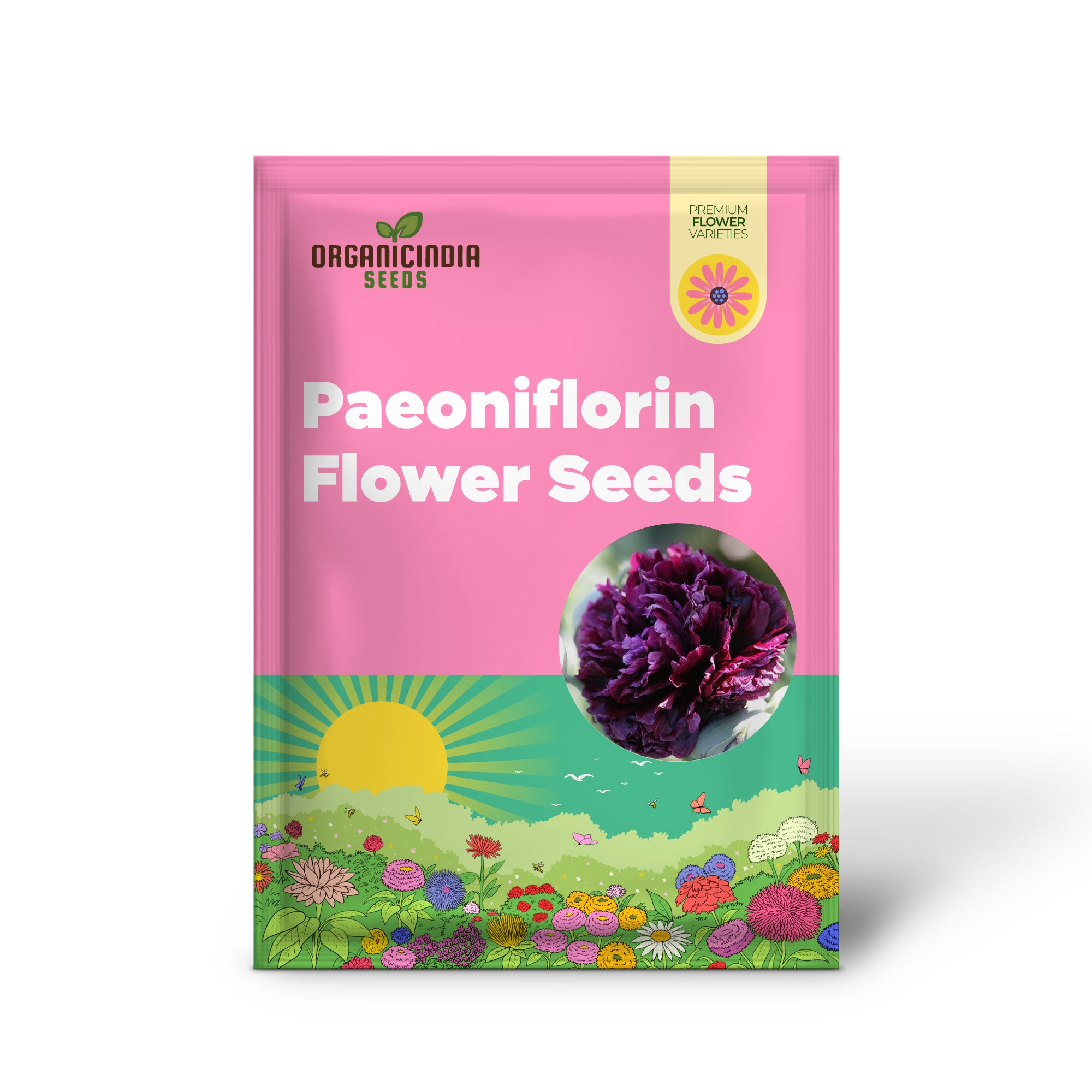 Papaver Paeoniflorin Black Peony Seeds for Unique Poppy Flowers