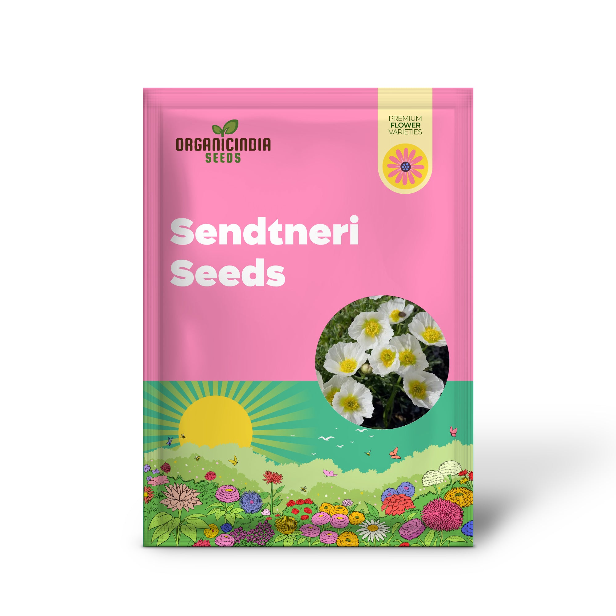 Papaver Sendtneri seeds packet rare perennial poppy seeds