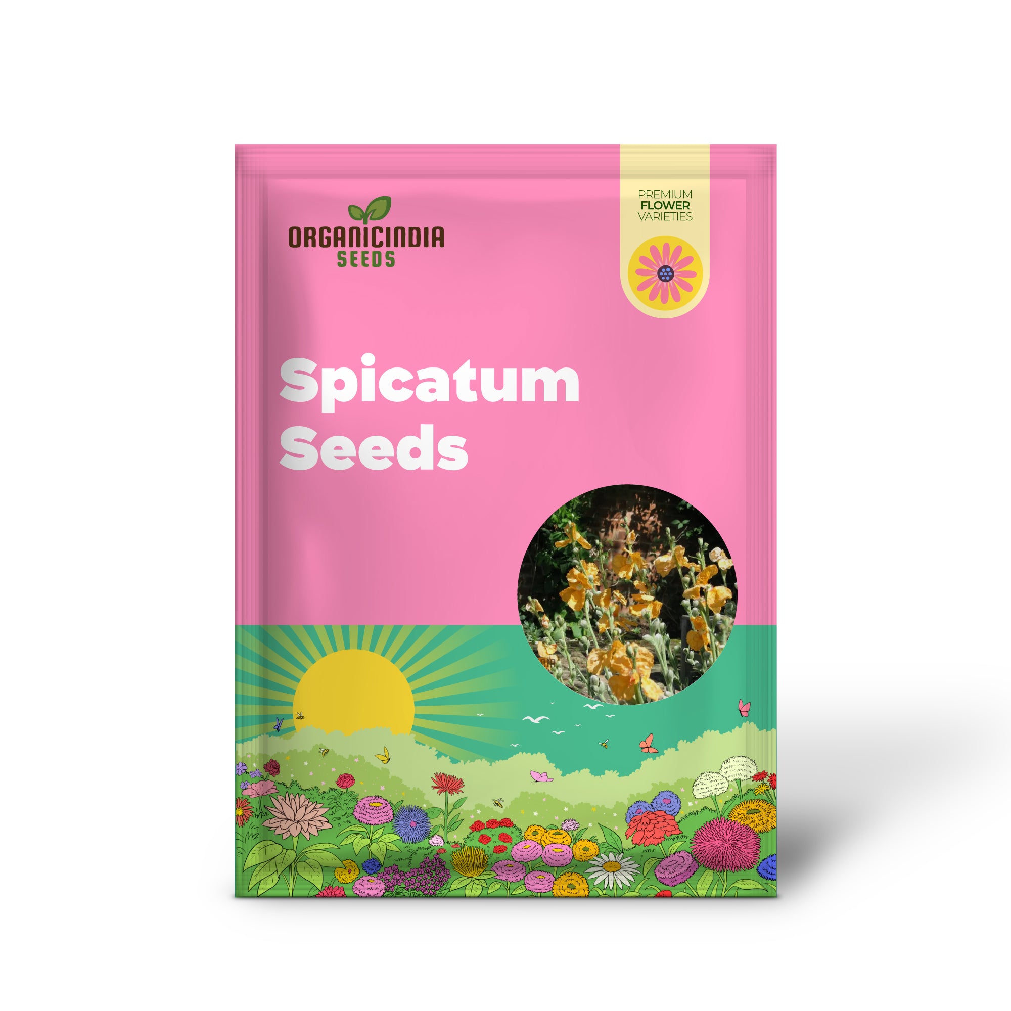 Papaver Spicatum seeds for planting, premium poppy flower seeds