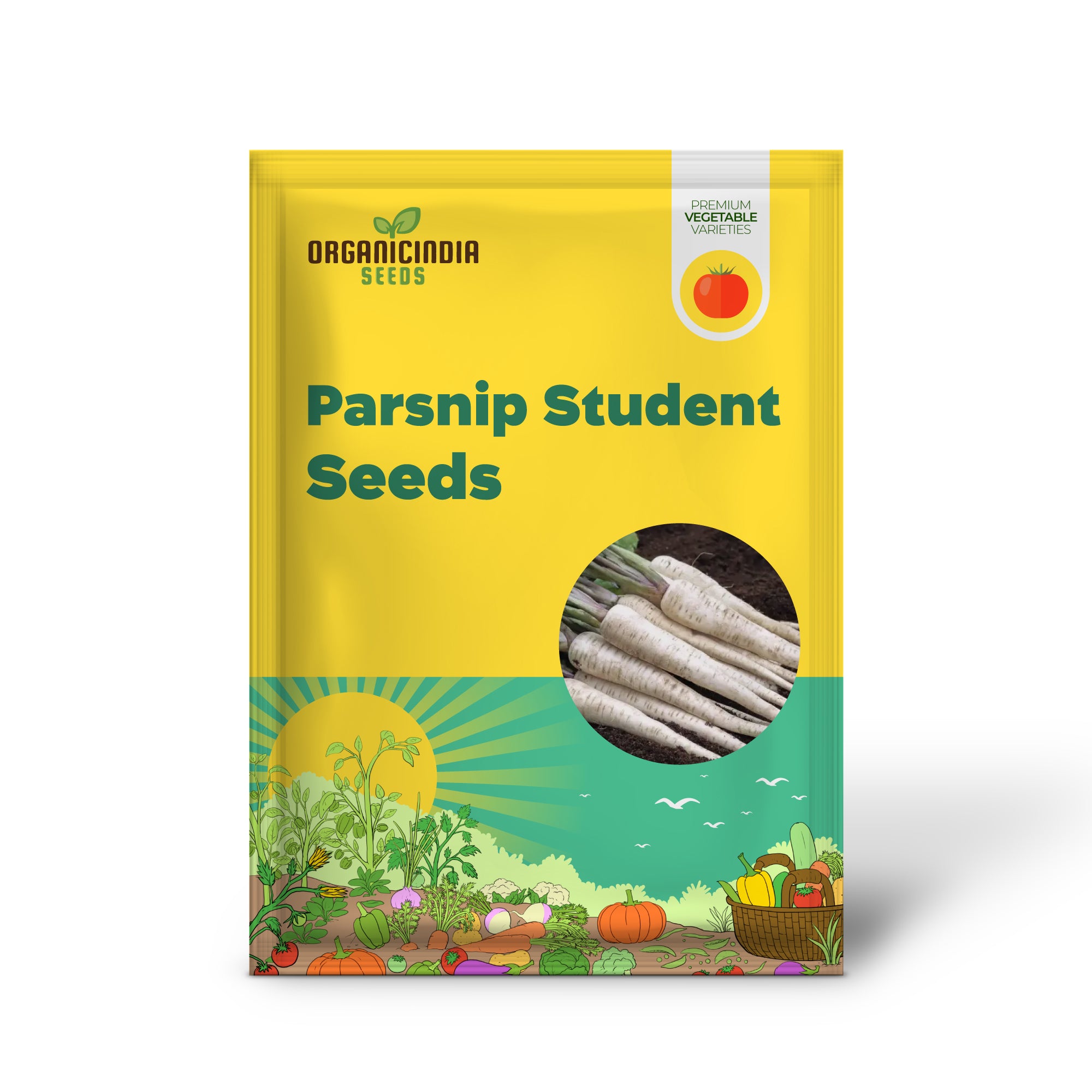 Student Parsnip Seedlings Growing, Parsnip Seeds for Home Garden