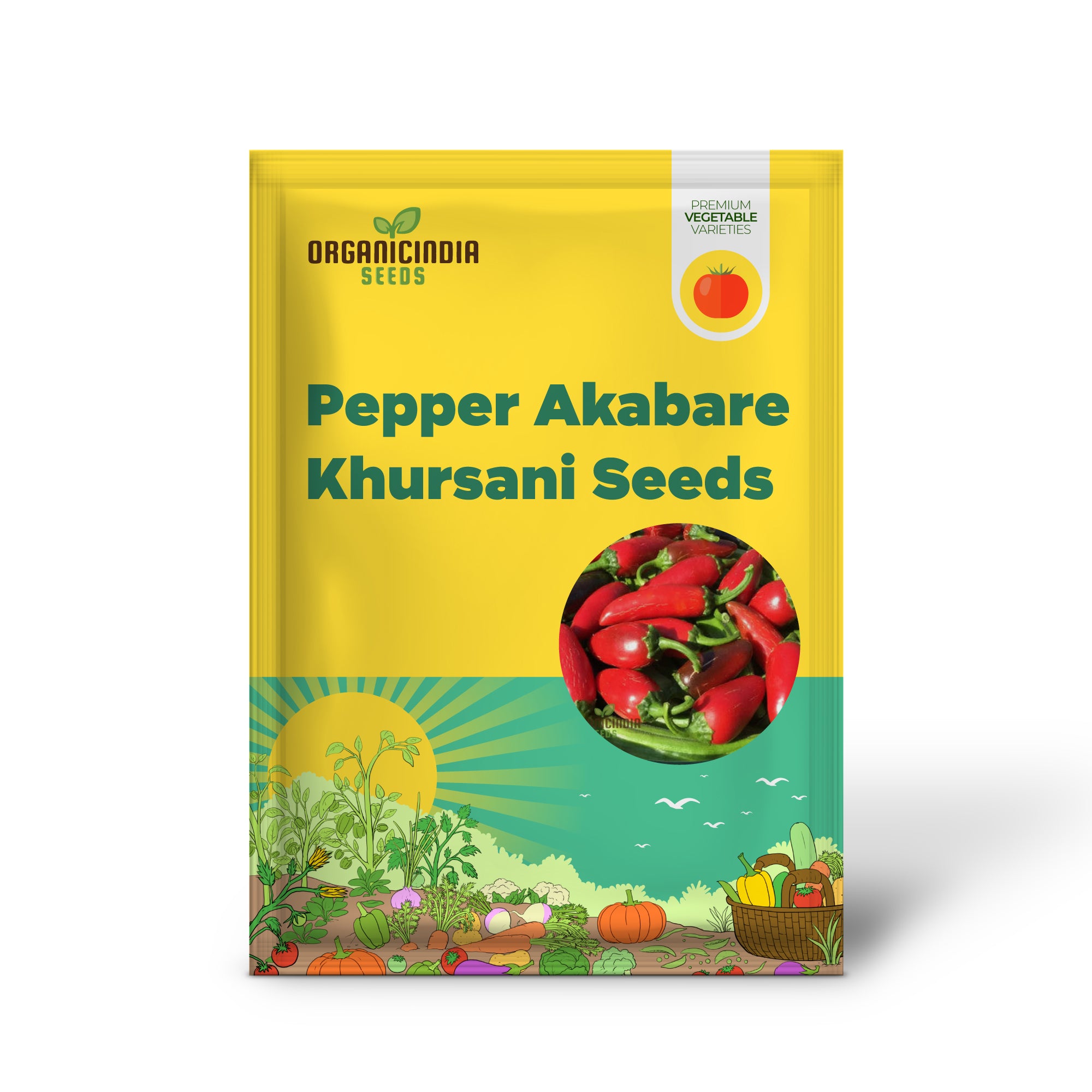 Akabare Khursani Pepper Seedlings Growing in Garden, Quick-Growing Seeds