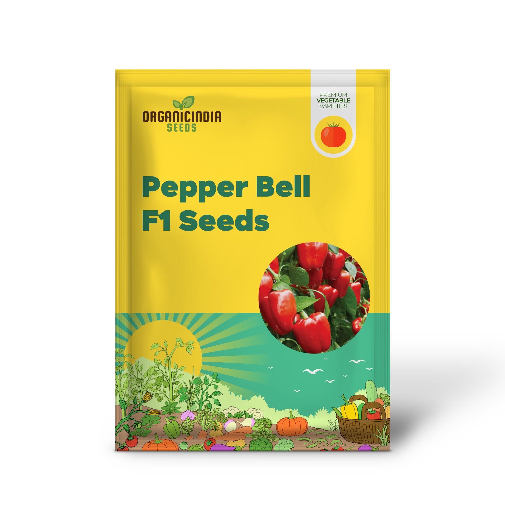 Beauty Bell F1 Pepper Seedlings Growing in Garden, Quick-Growing Seeds