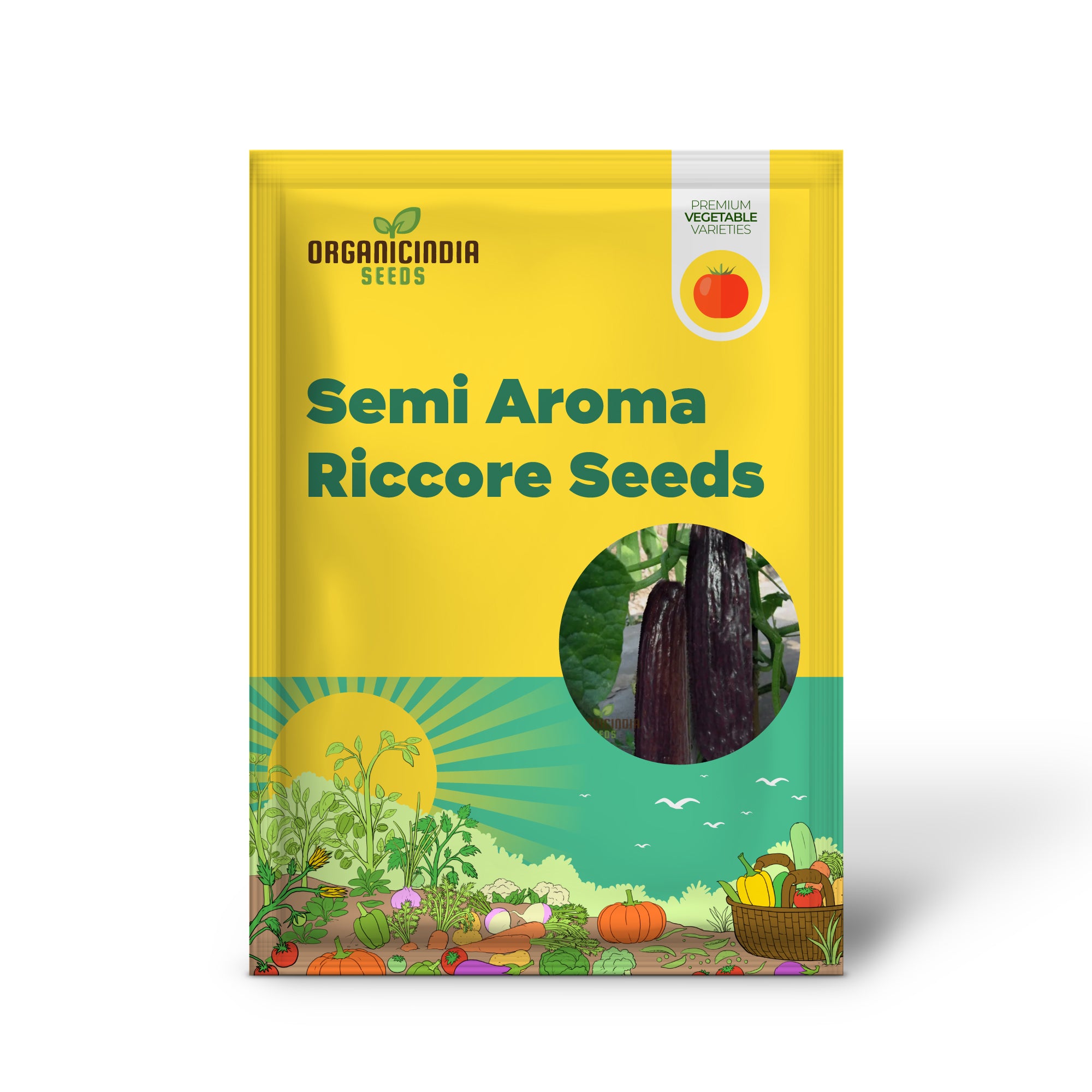 Bell Semi Aroma Riccore Pepper Seedling Growing in Garden, Easy-to-Grow Pepper Seeds