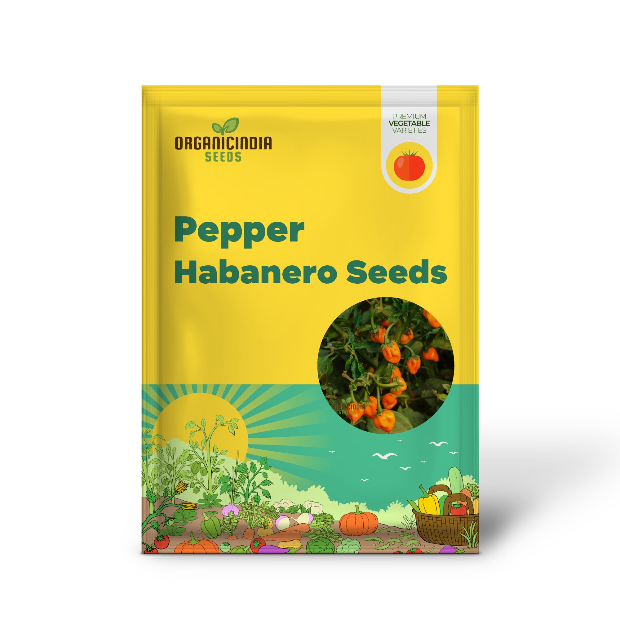 Habanero Orange Pepper Seedling in Garden, Compact and Productive Plants