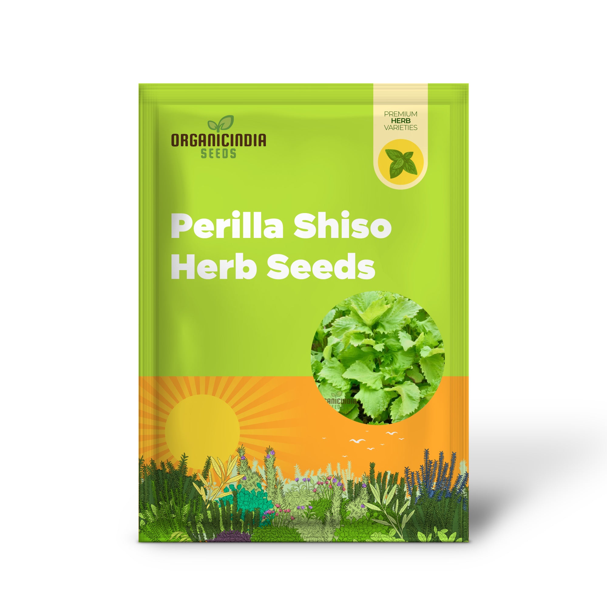 Close-up of Perilla Shiso Green Leaves – Fresh Aromatic Herb