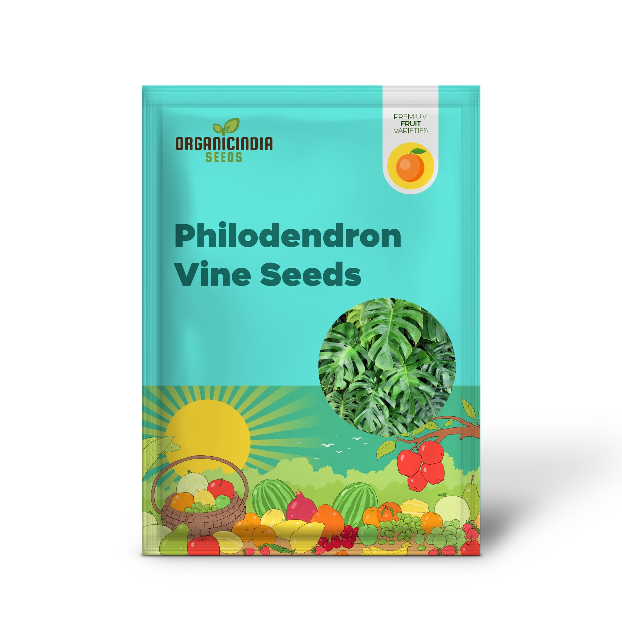 Philodendron Vine Seeds Organic Variety for Home Garden Growing