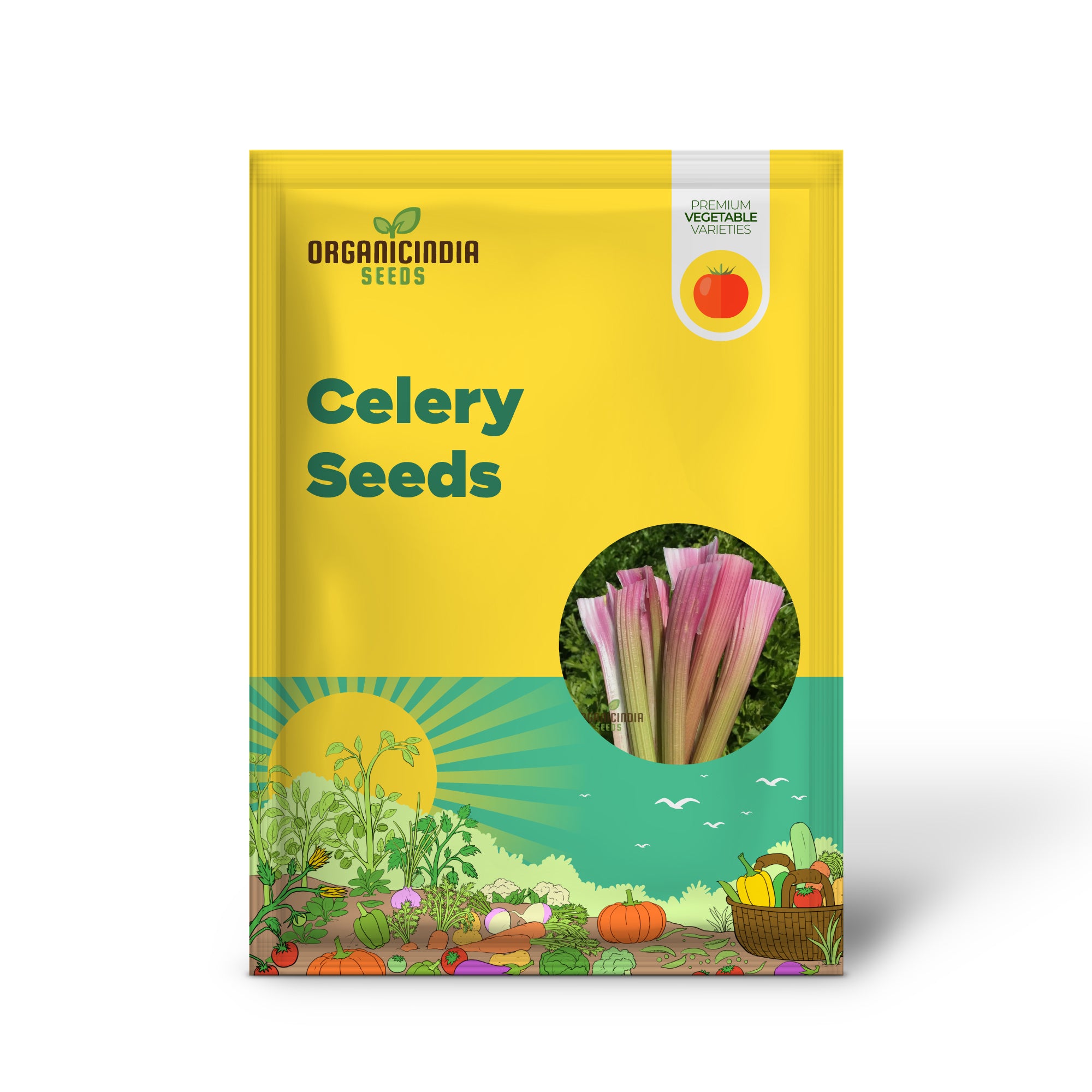 Pink Celery Seedlings Growing from Seeds, Organic Garden Variety