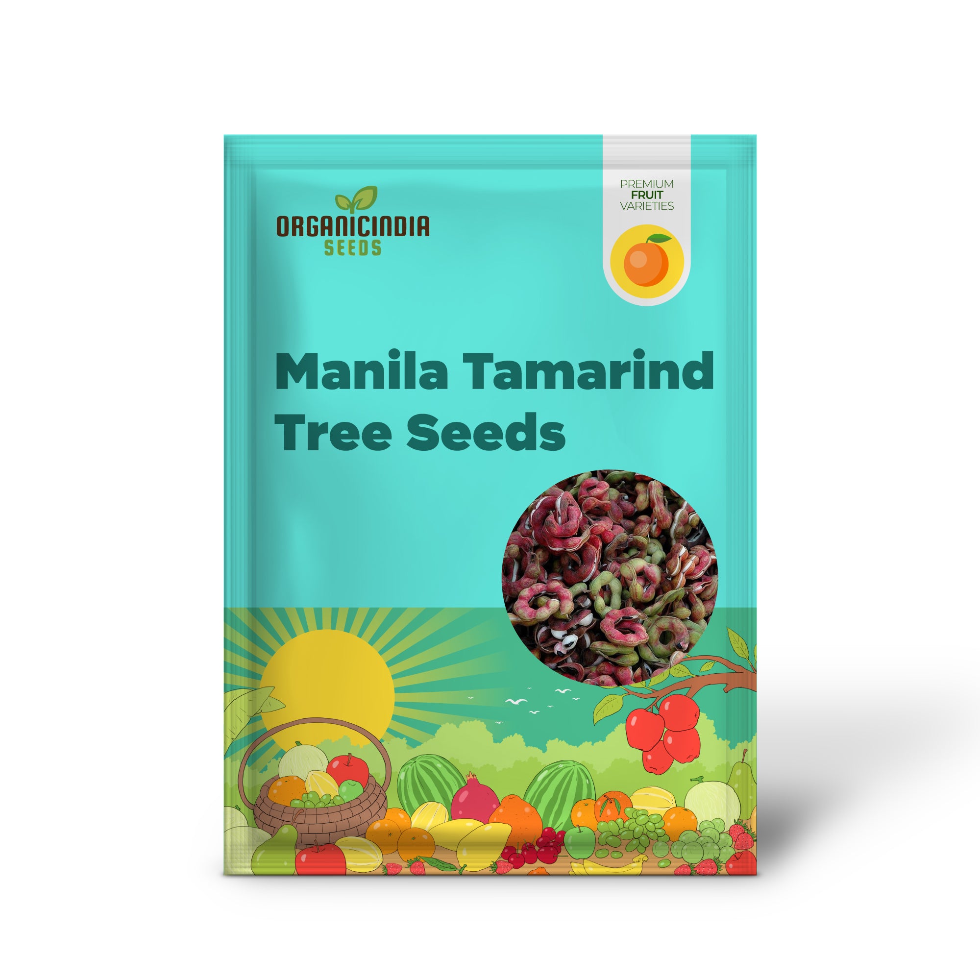 Pithecellobium dulce Manila Tamarind tree seeds for gardening