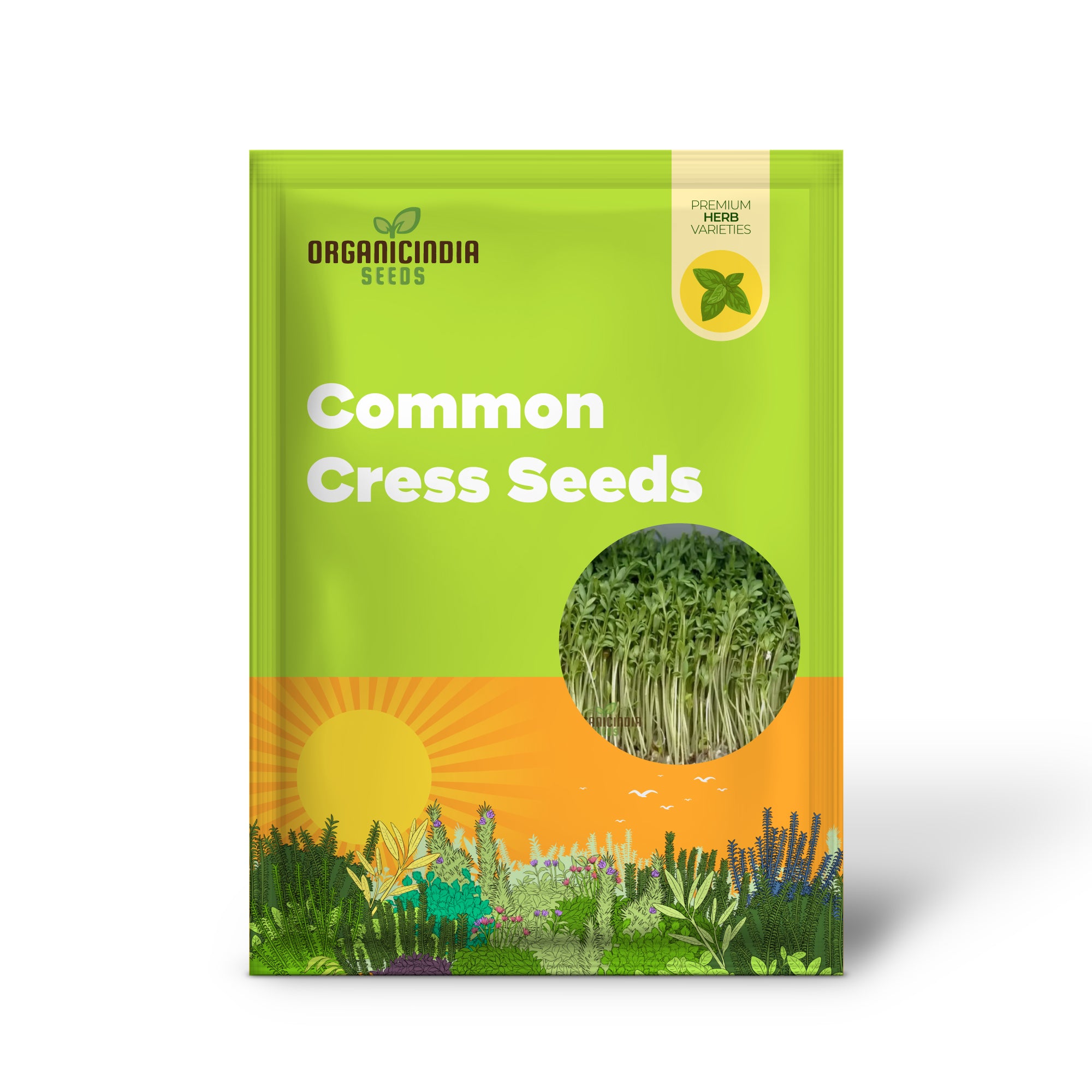 Plain Cress Greens Growing for Fresh Salads and Garnish