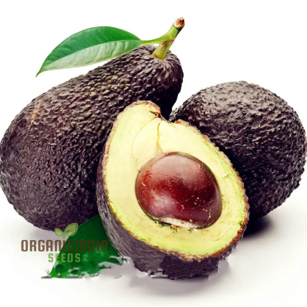 How to plant avocado seeds step-by-step, home gardening tips