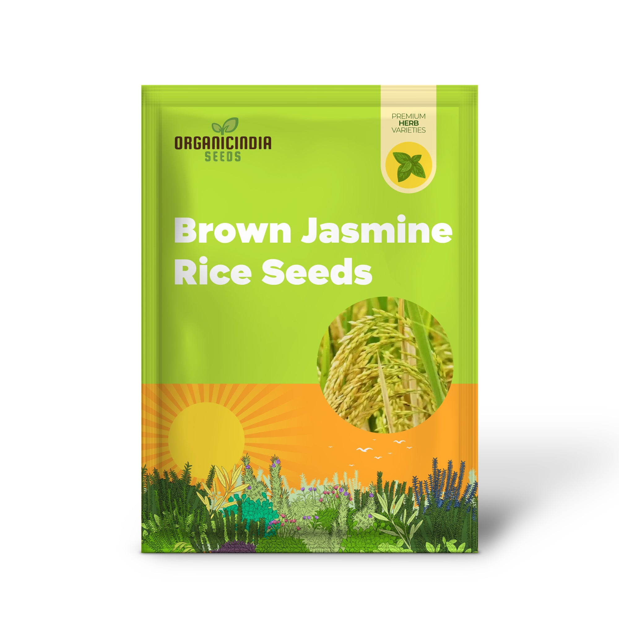 Premium Non-GMO Brown Jasmine Rice Seeds with High Germination Rate