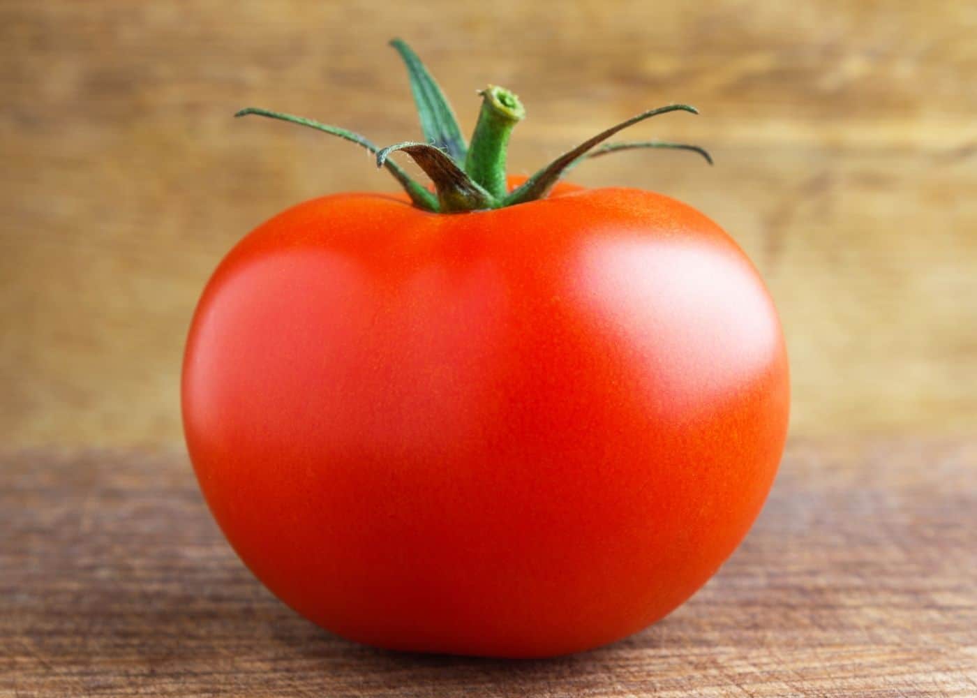 Premium Celebrity Tomato Seeds – High Yield for Home Gardeners