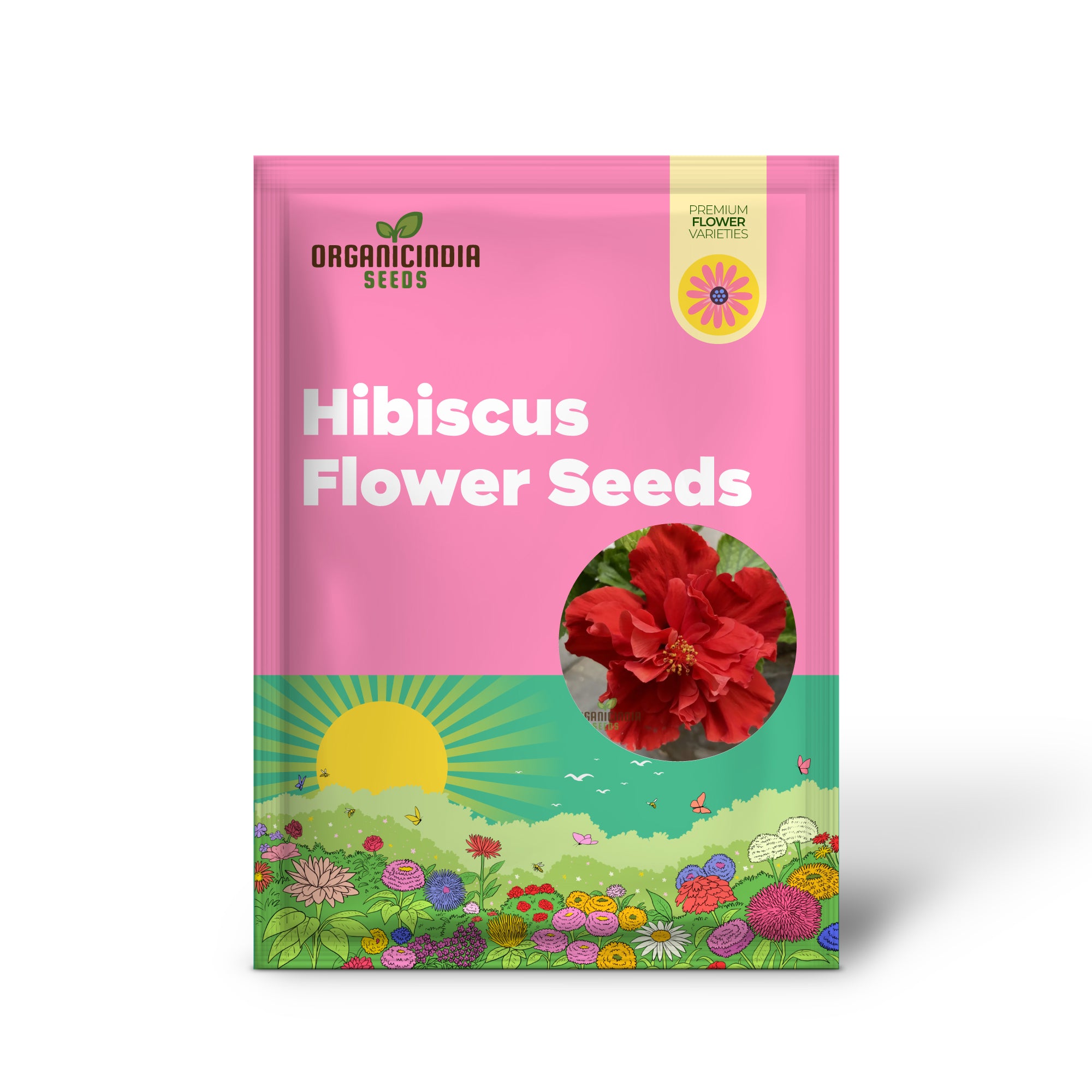 Premium hibiscus flower seeds easy to grow red blooms