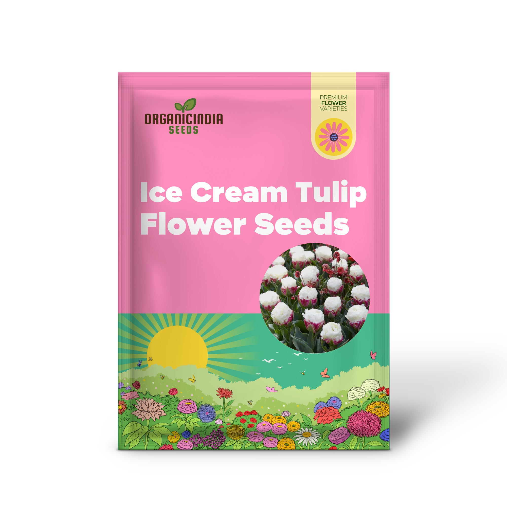 Premium Ice Cream Tulip Seeds for Colorful Flower Gardening