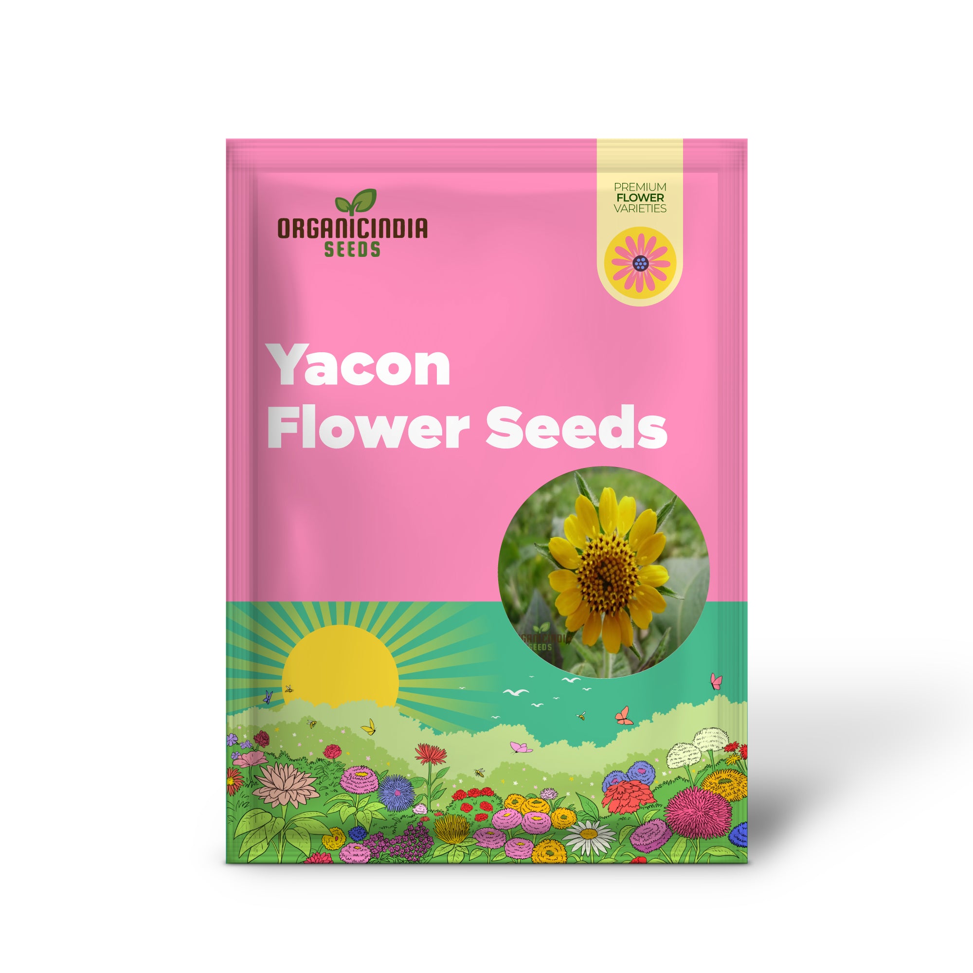 Premium Yacon Flower Seeds for Easy Home Gardening