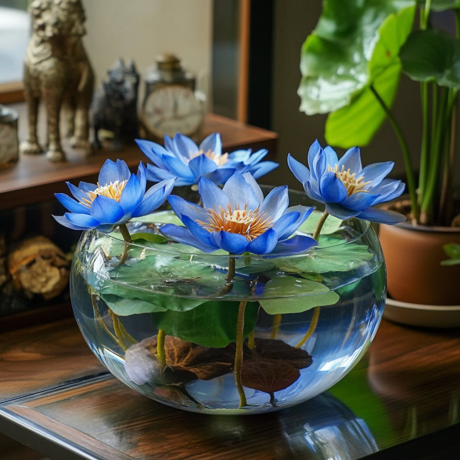 Premium Blue Lotus Seeds for Aquatic Water Gardens