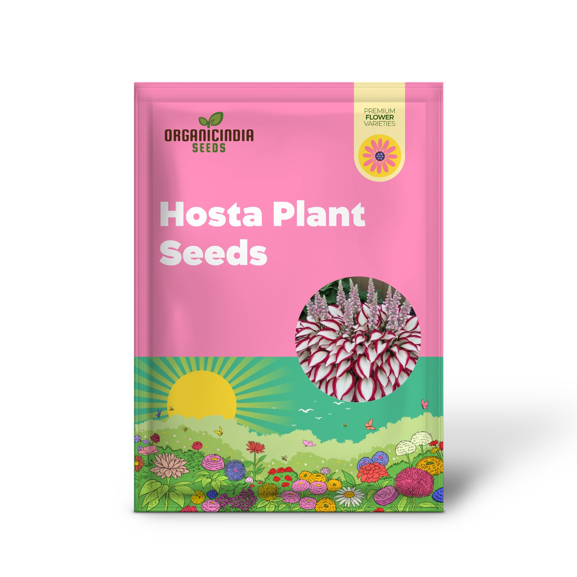 Premium Hosta White and Red Seeds for Planting