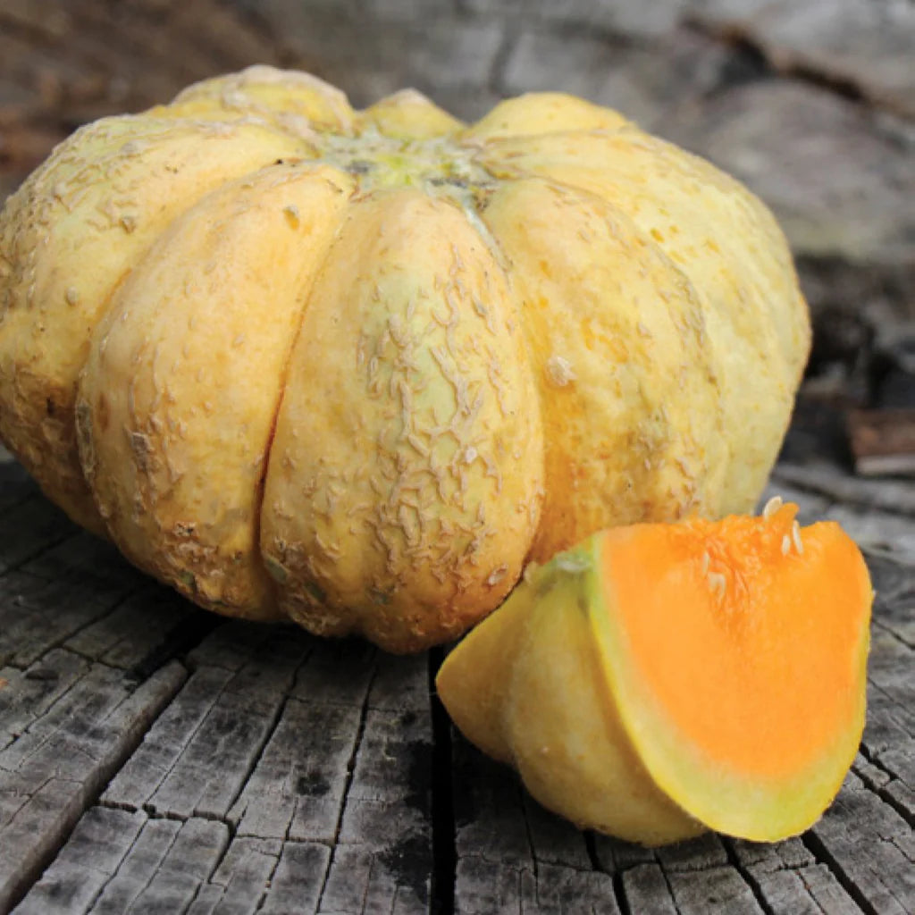 Prescott Fond Blanc Oka melon seeds for planting