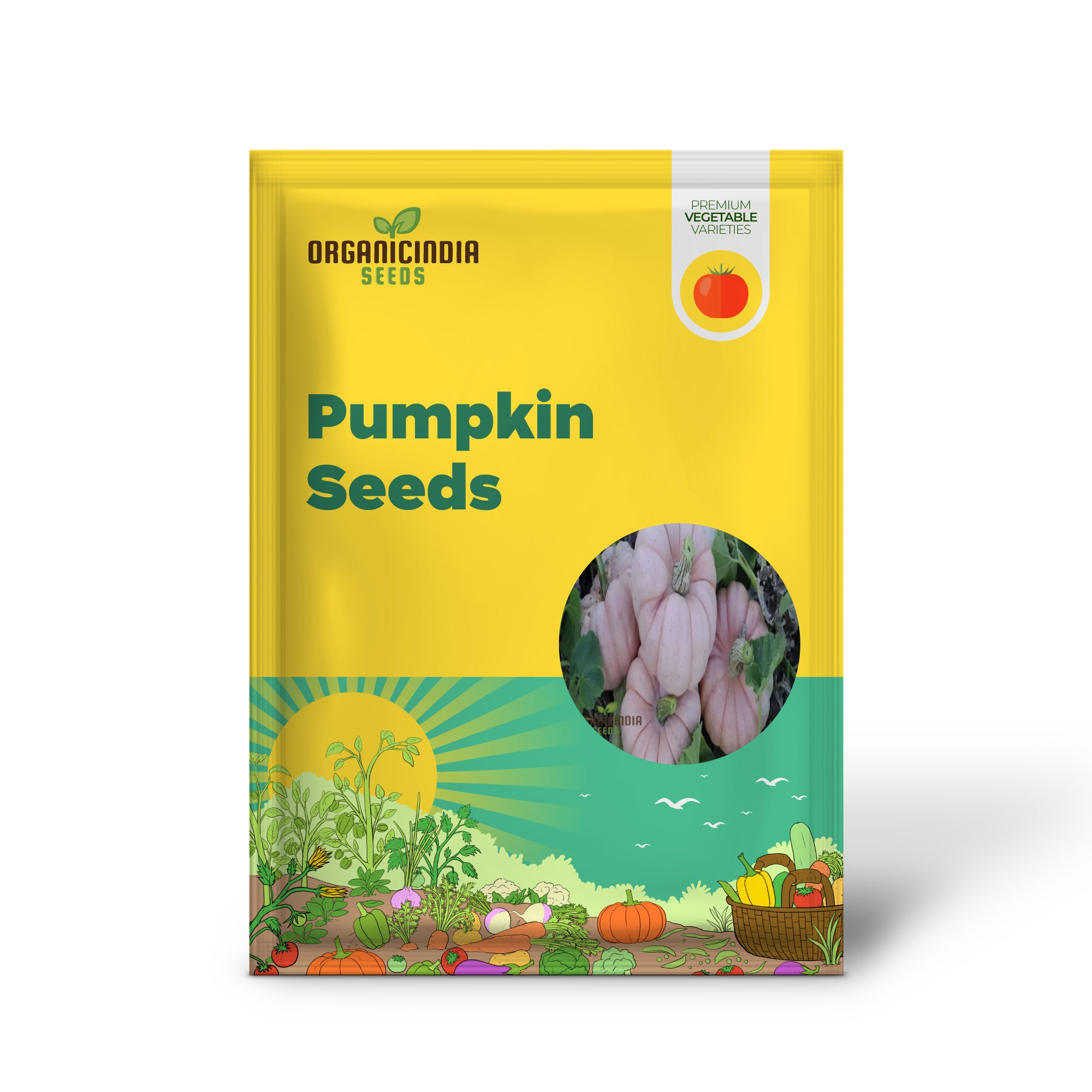 Pink Pumpkin Seedlings Growing from Seeds, Home Garden Pumpkin Plants