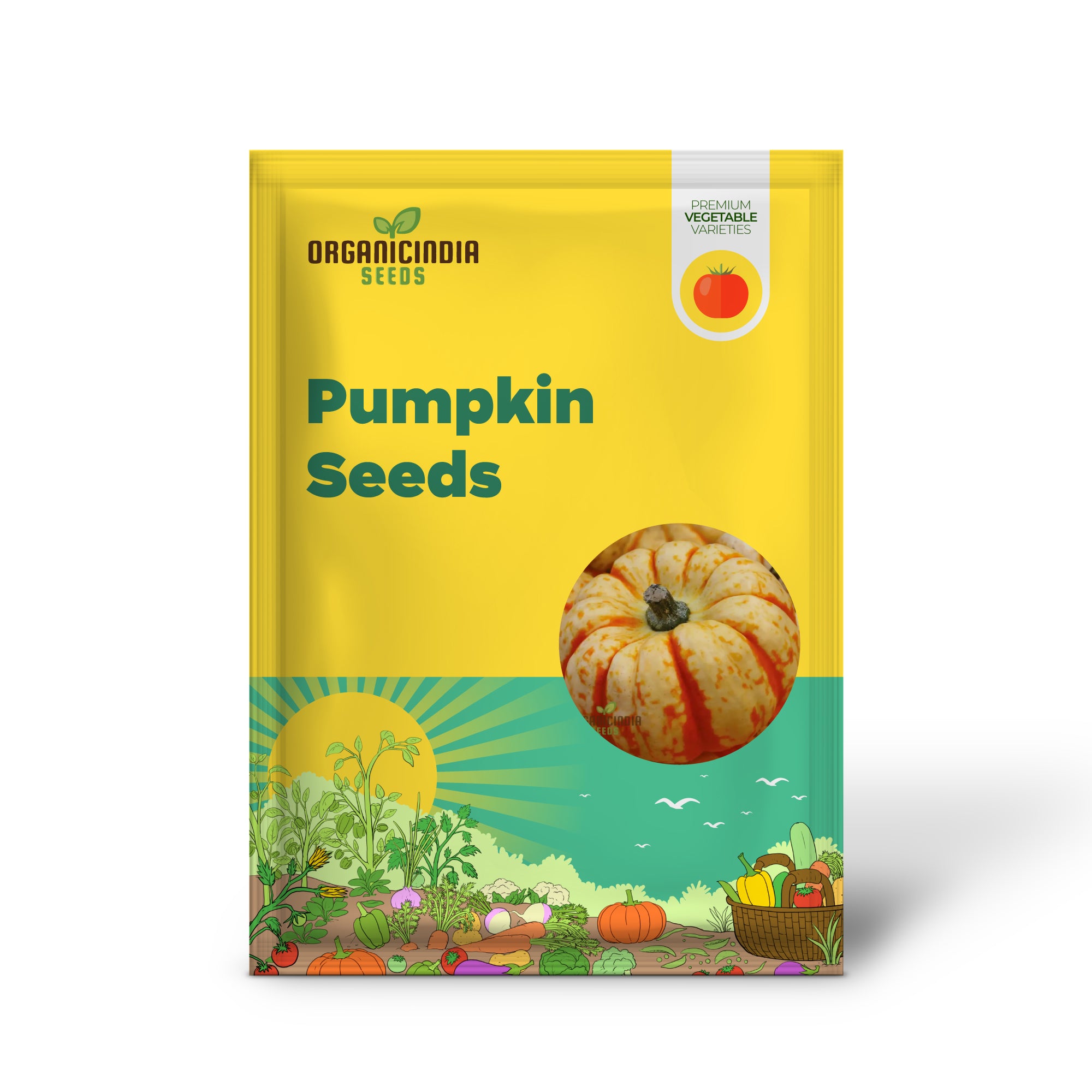 Sweet Lightning Pumpkin Seedling Growing in Garden, Easy-to-Grow Pumpkin Seeds