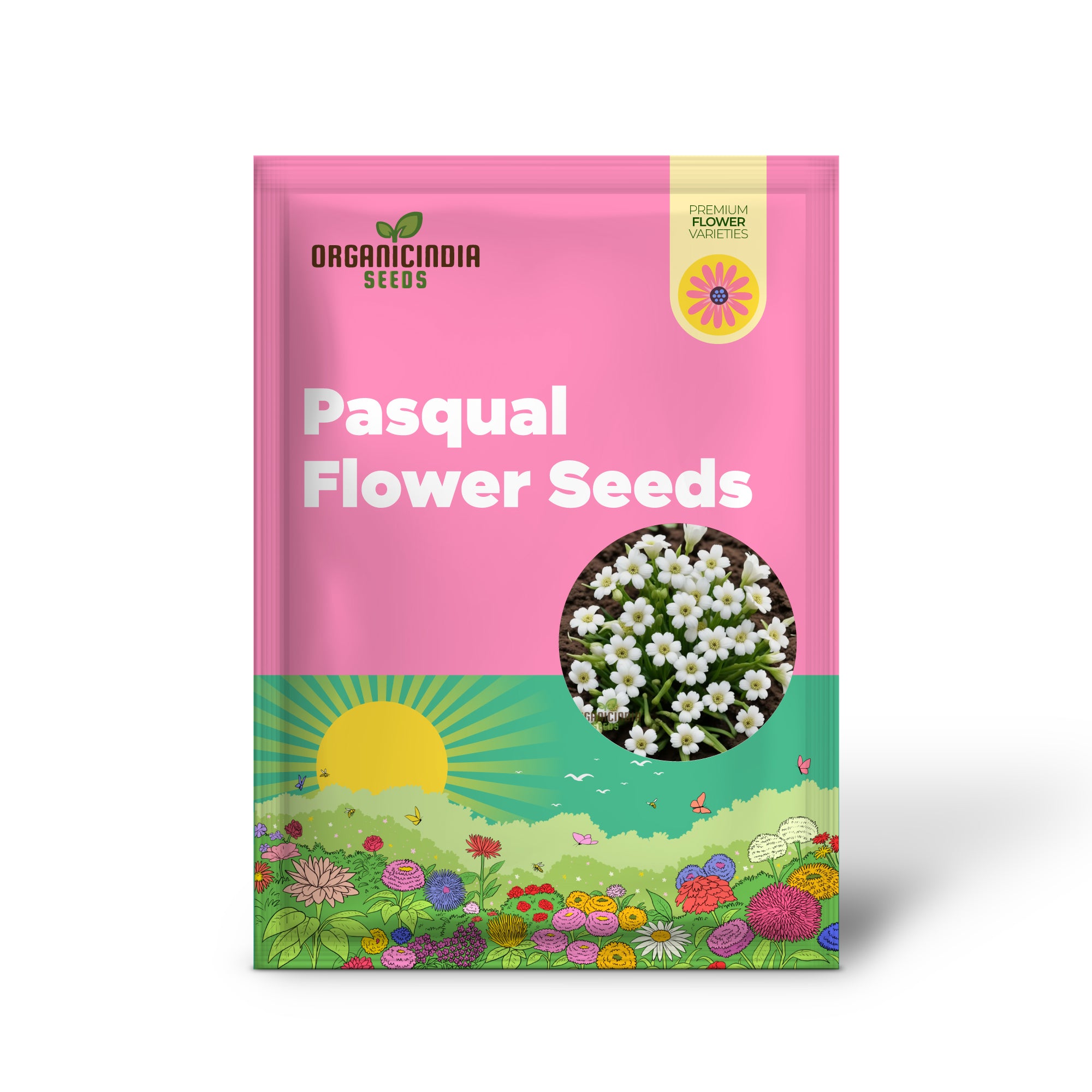 Pure White Pasqual Seeds for Home Garden Planting
