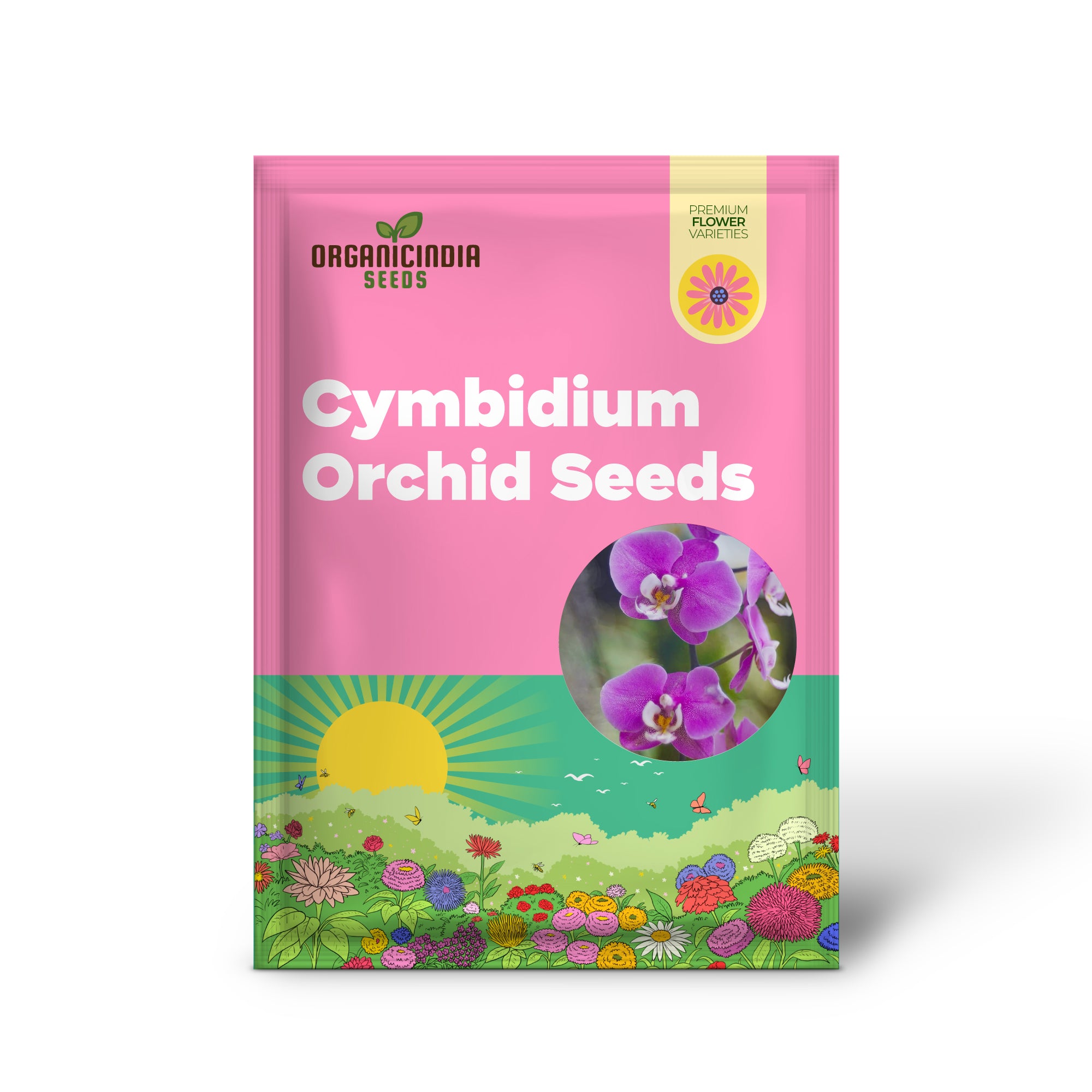 Purple Cymbidium Orchid Seeds for Easy Care Flowering Plants