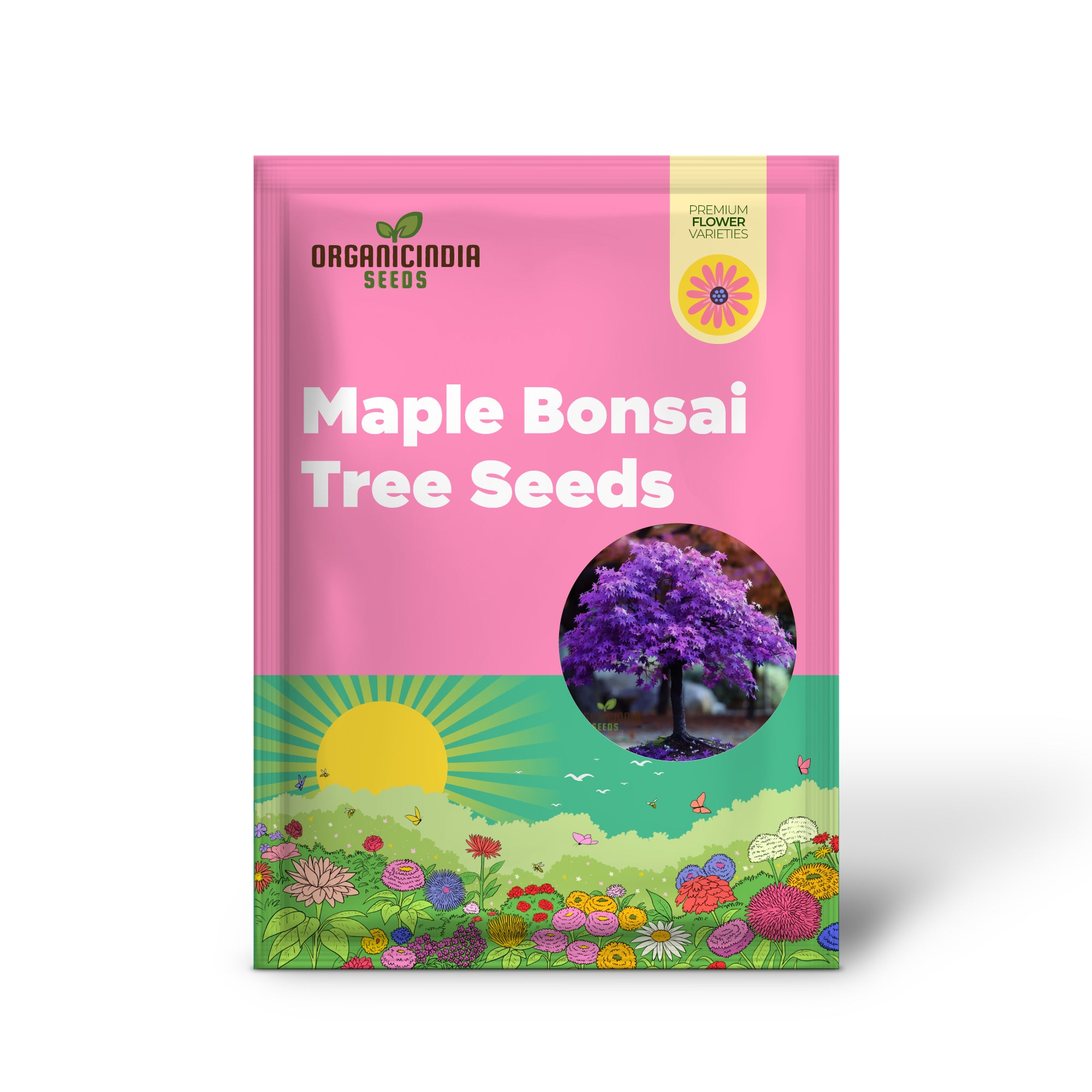 Purple Maple Bonsai seeds for planting miniature trees
