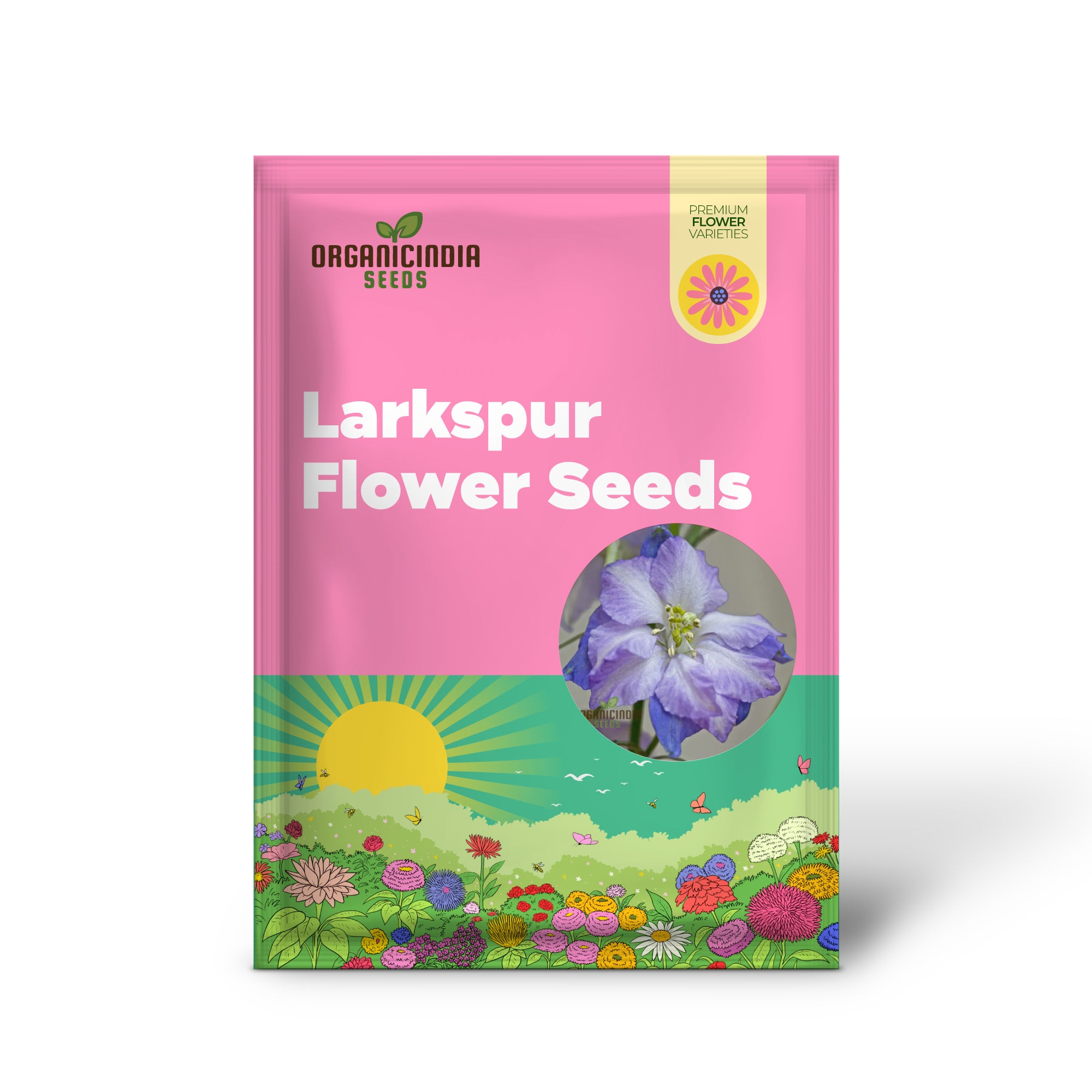 Purple Picotee Larkspur Garden Seeds for Stunning Flower Beds