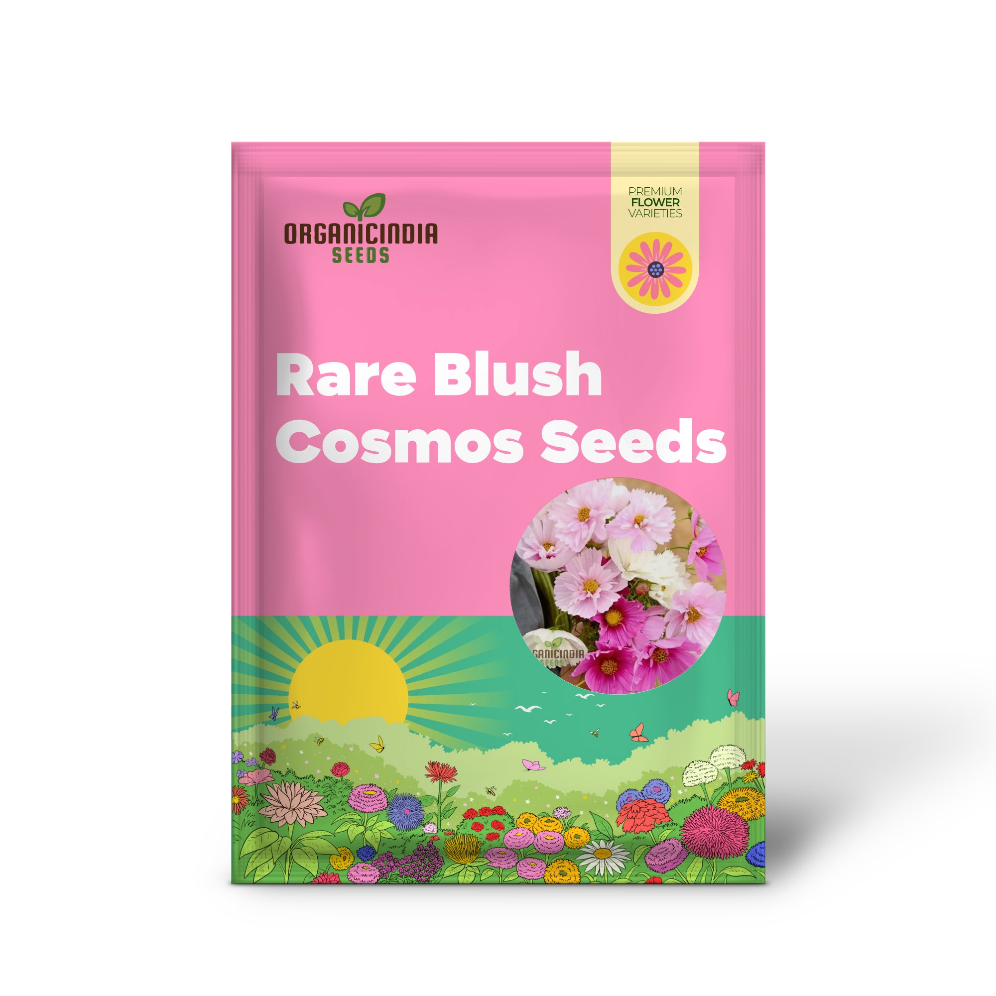 Rare cosmos flower seeds soft pink blooms for planting