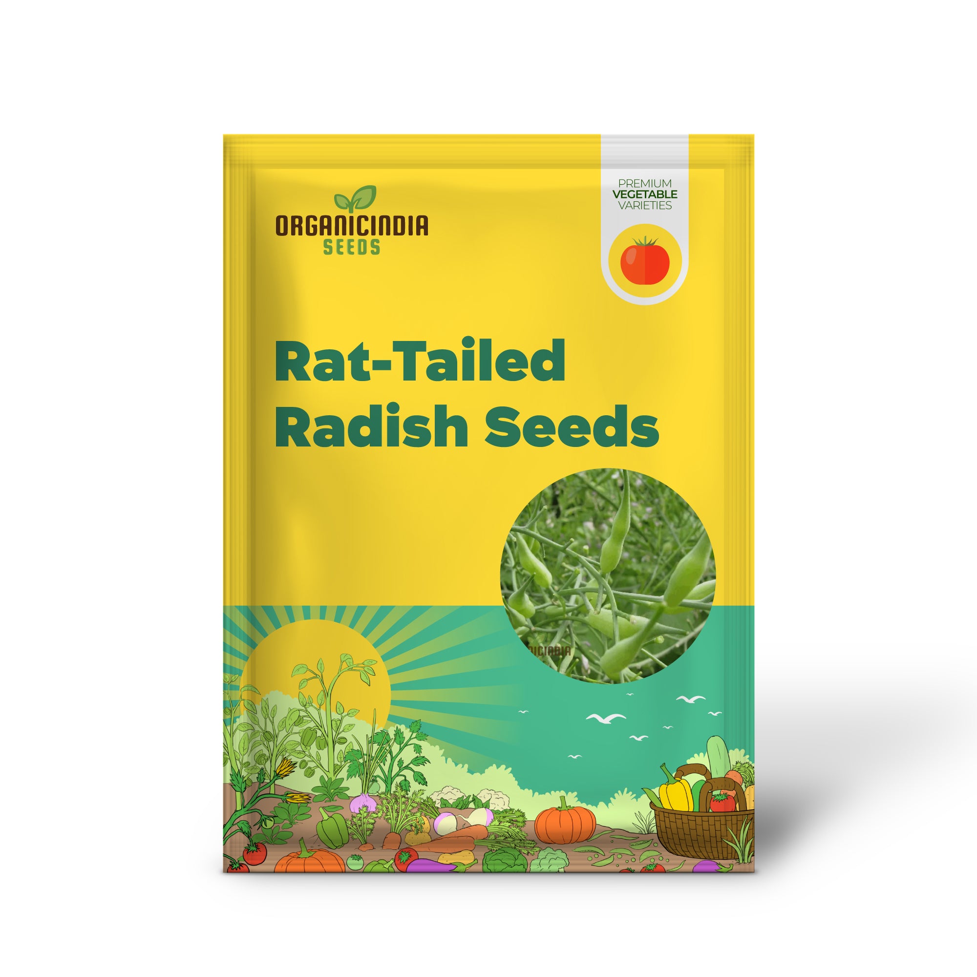 Rat-Tailed Radish Seedling Growing in Garden, Easy-to-Grow Radish Seeds