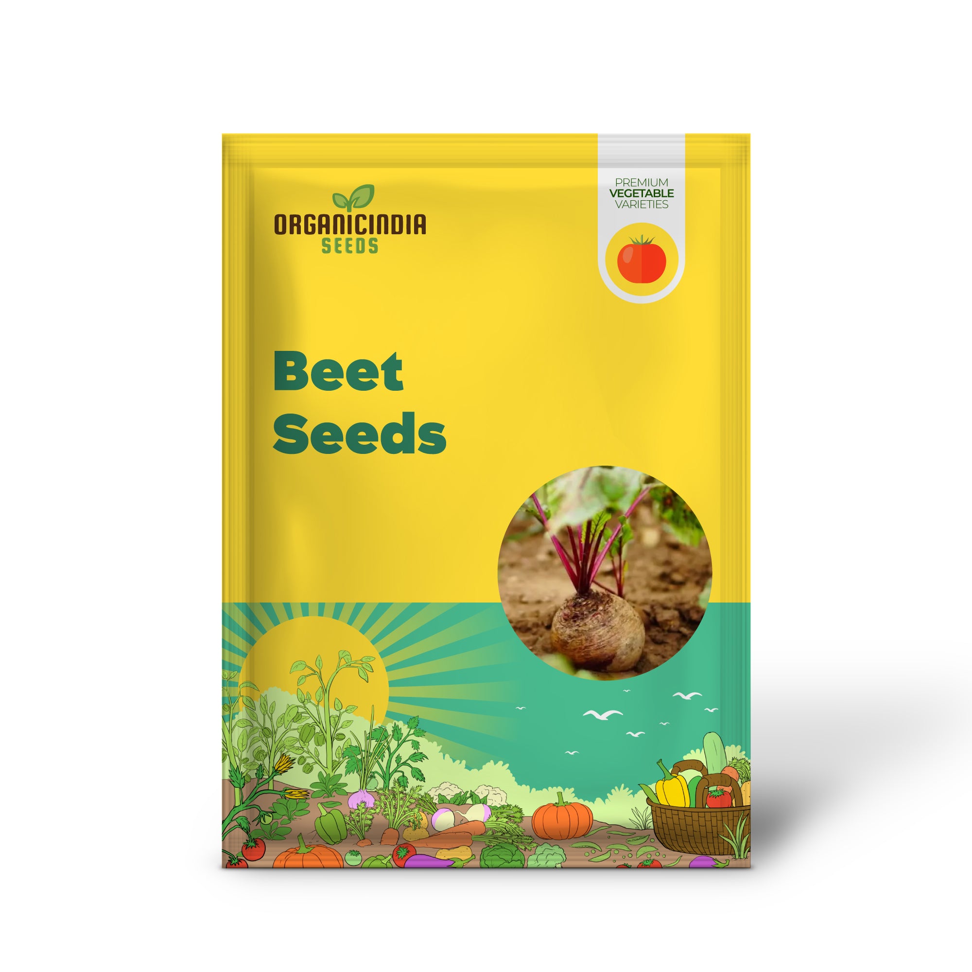 Red Beet Seedling Growing from Premium Beet Seeds
