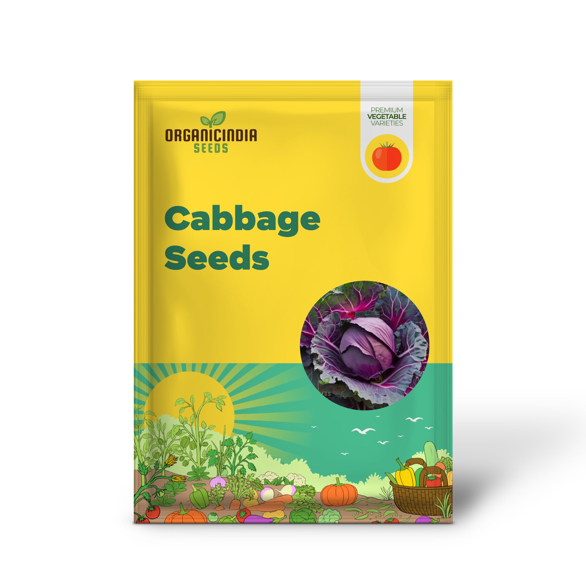 Premium Red Cabbage Seeds, Non-GMO Garden Vegetable Seeds