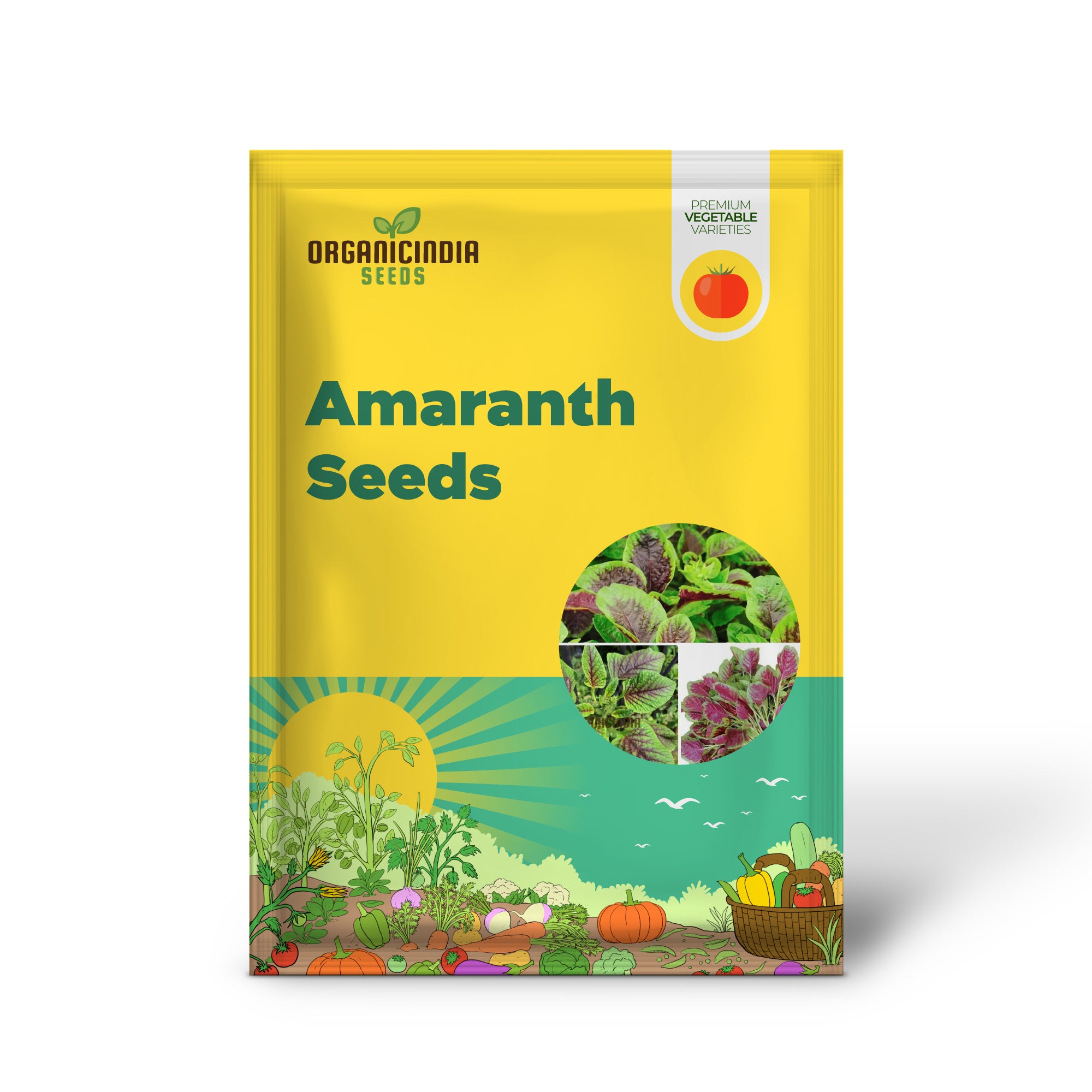 Red Leaf Amaranth Seedlings, Easy-to-Grow Garden Plants from Seeds