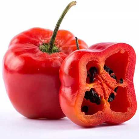 Red Manzano Chili Pepper Seeds (Capsicum pubescens), Easy-to-Grow Hot Pepper Seeds