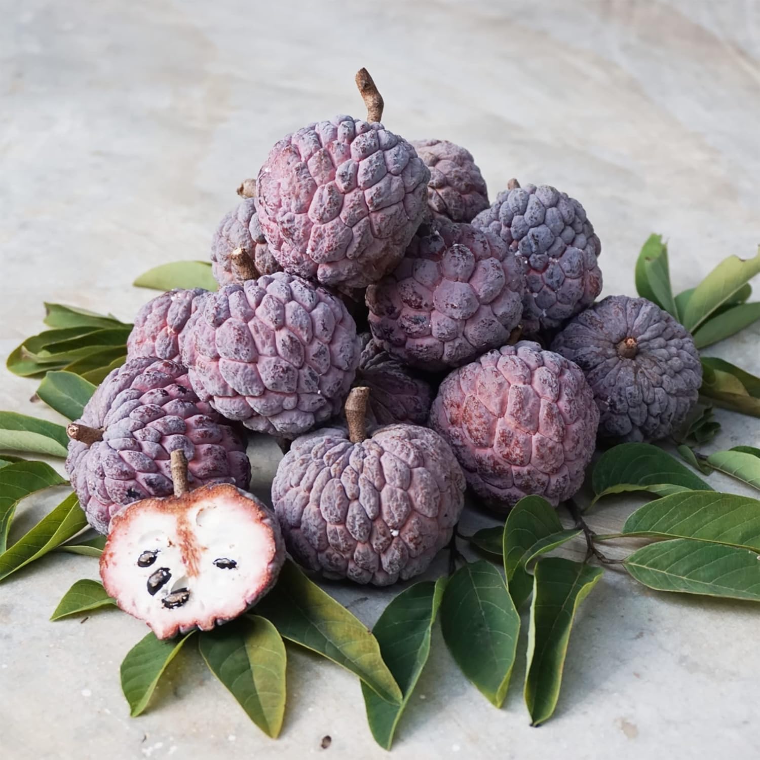Red Sugar Apple seeds for planting tropical fruit trees at home