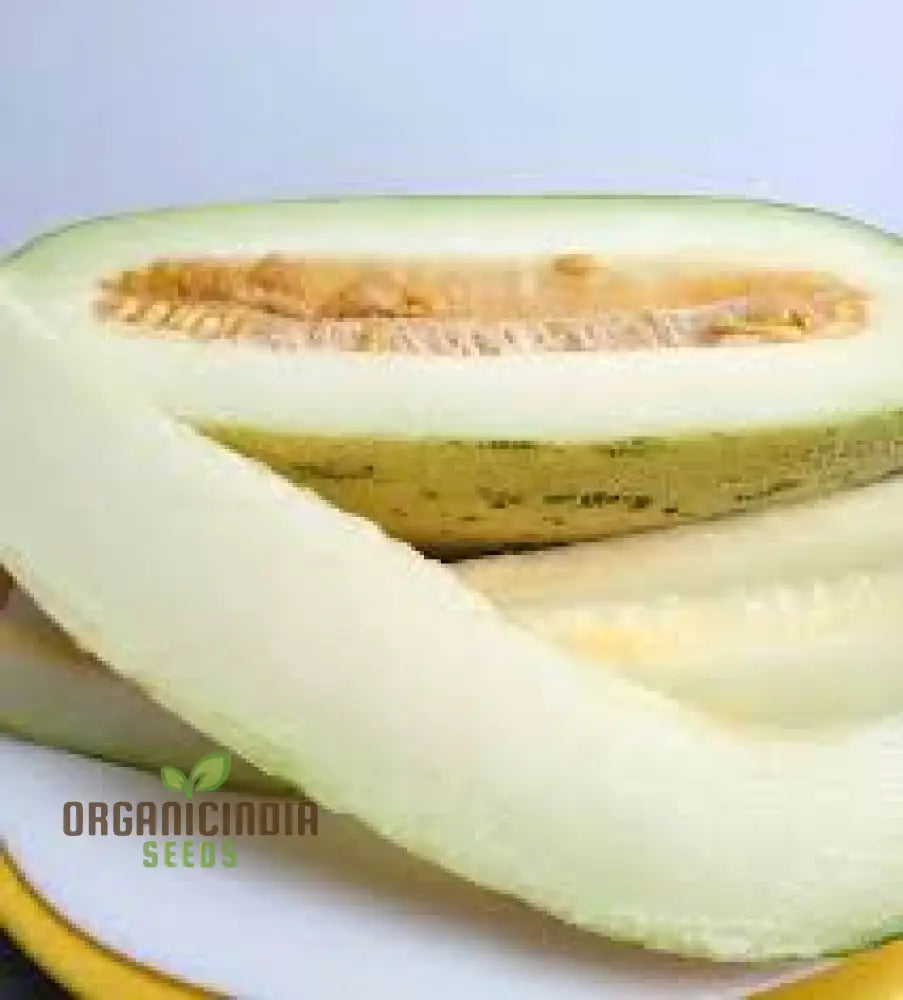 Indian Cream Cobra Rockmelon with Cream-Colored Rind