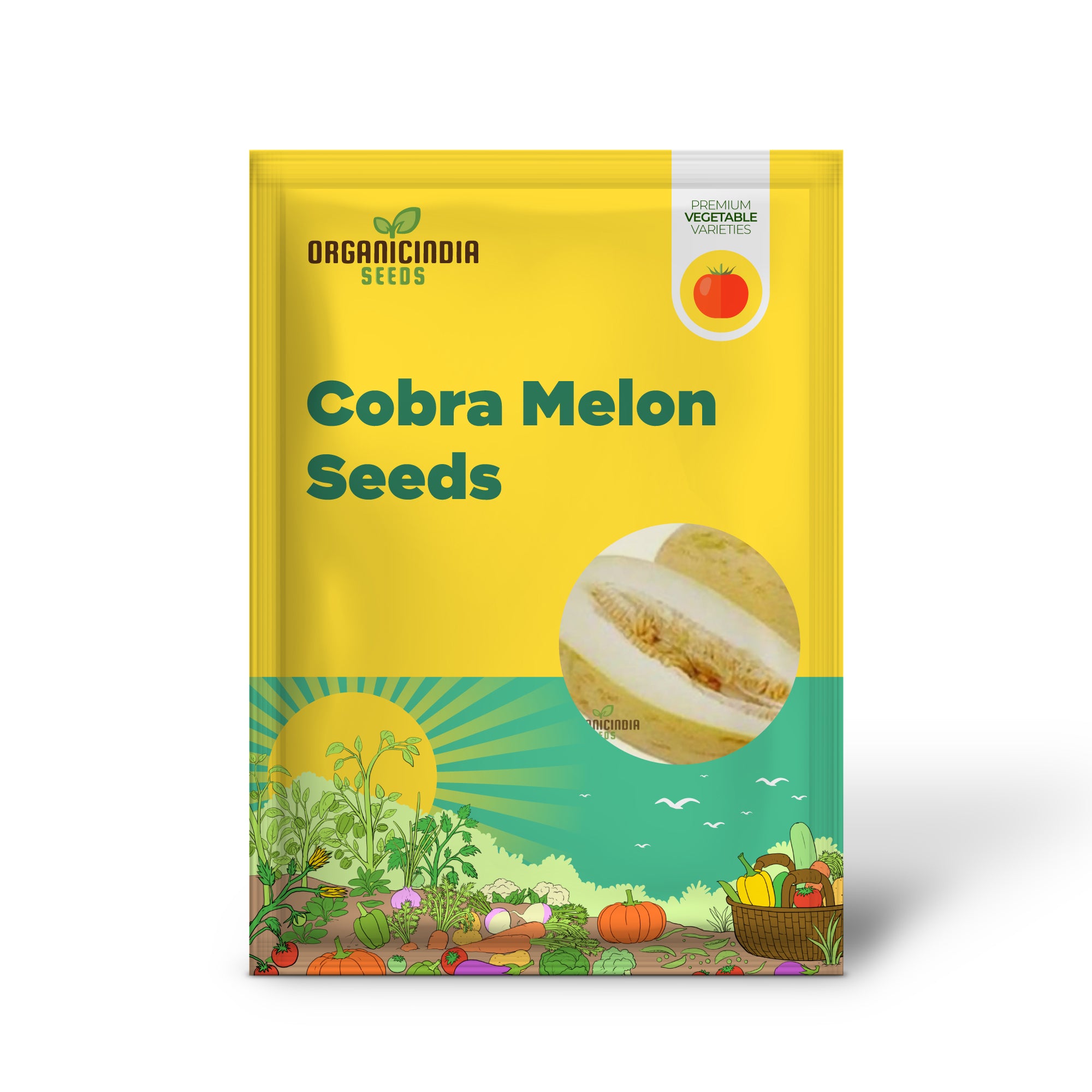Indian Cream Cobra Rockmelon Seeds for Planting